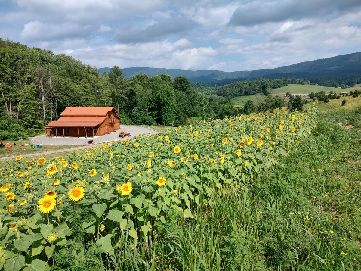 Doe Valley Farm
