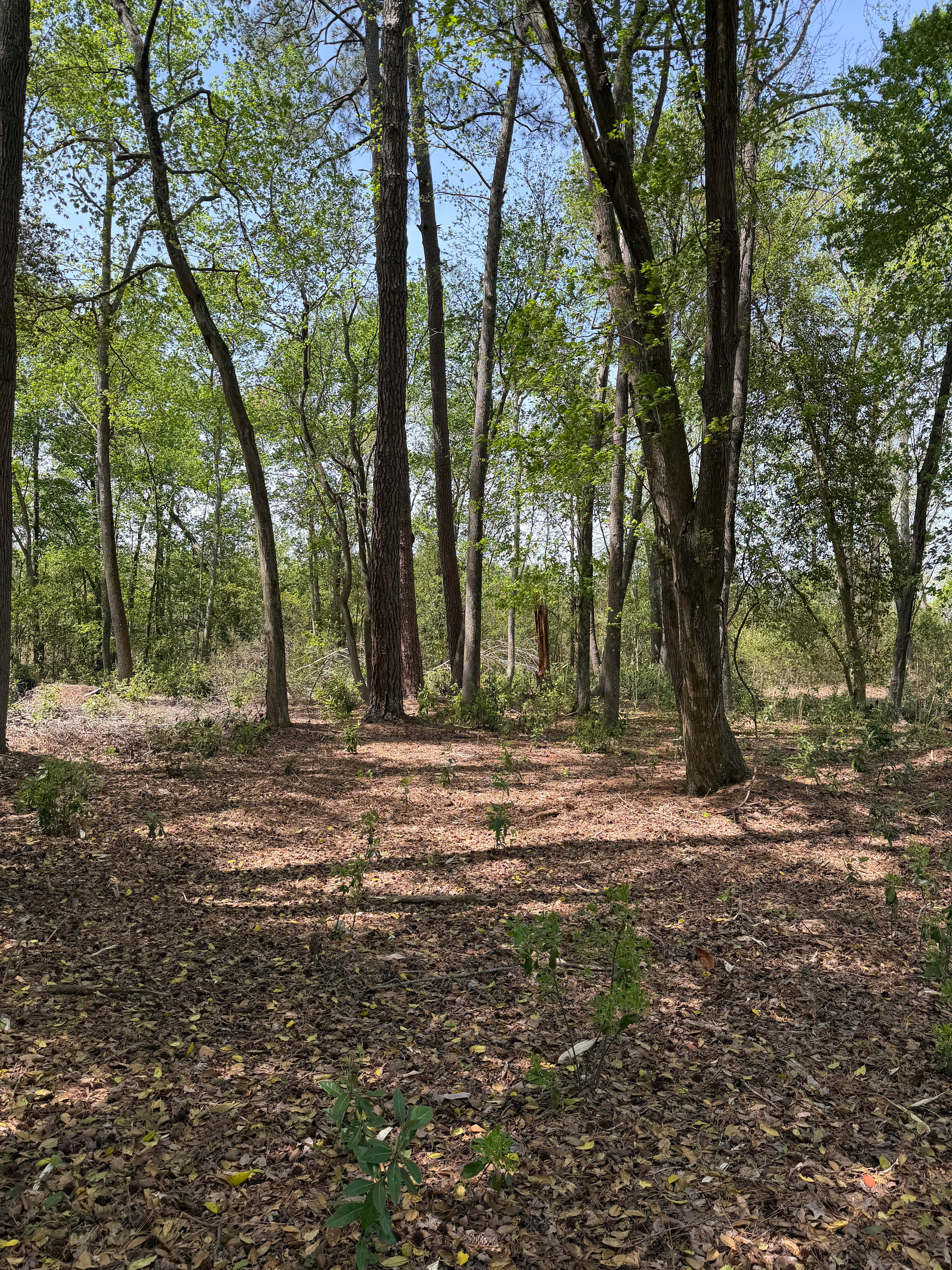 Camp Waypoint
