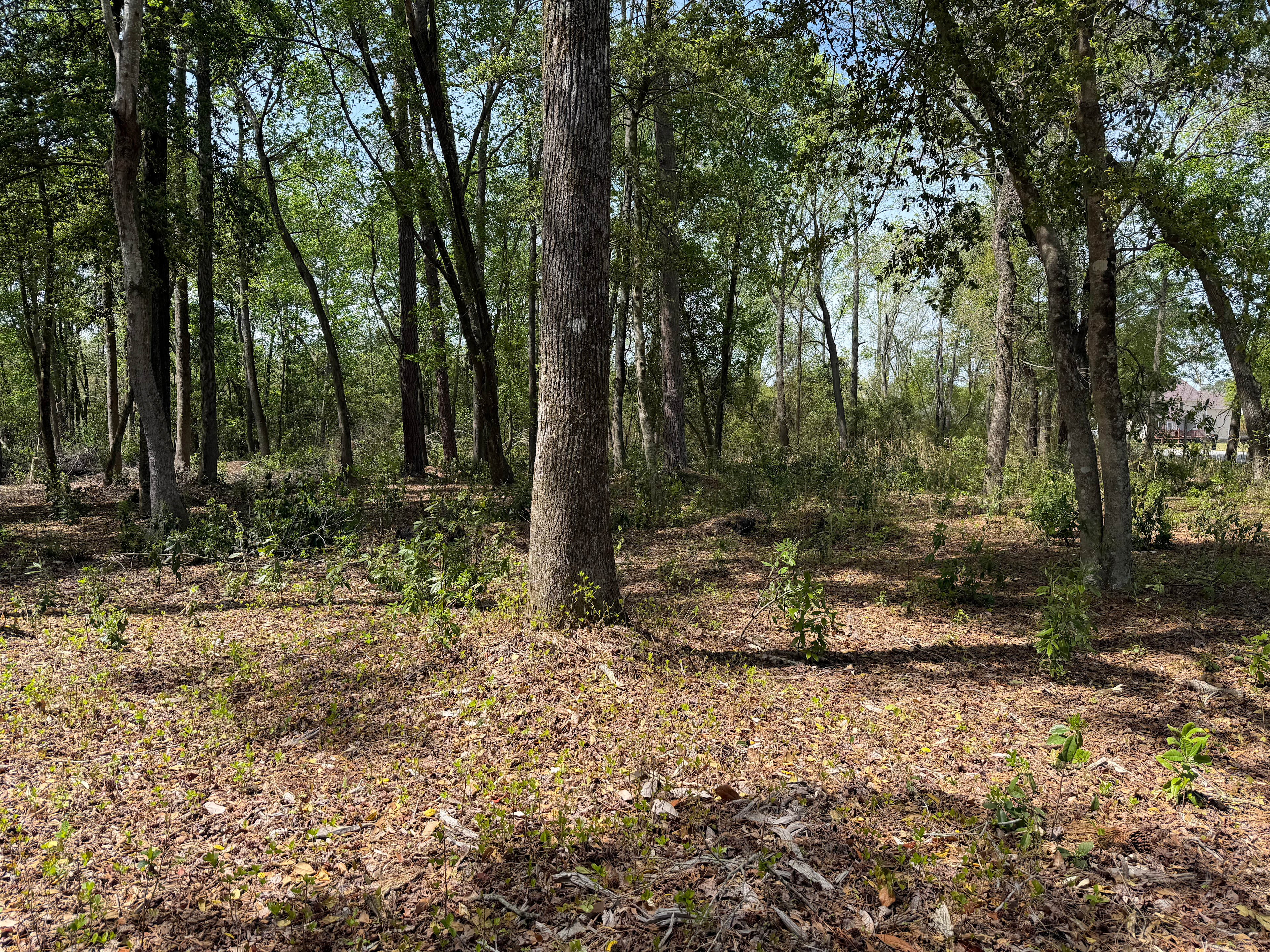 Camp Waypoint
