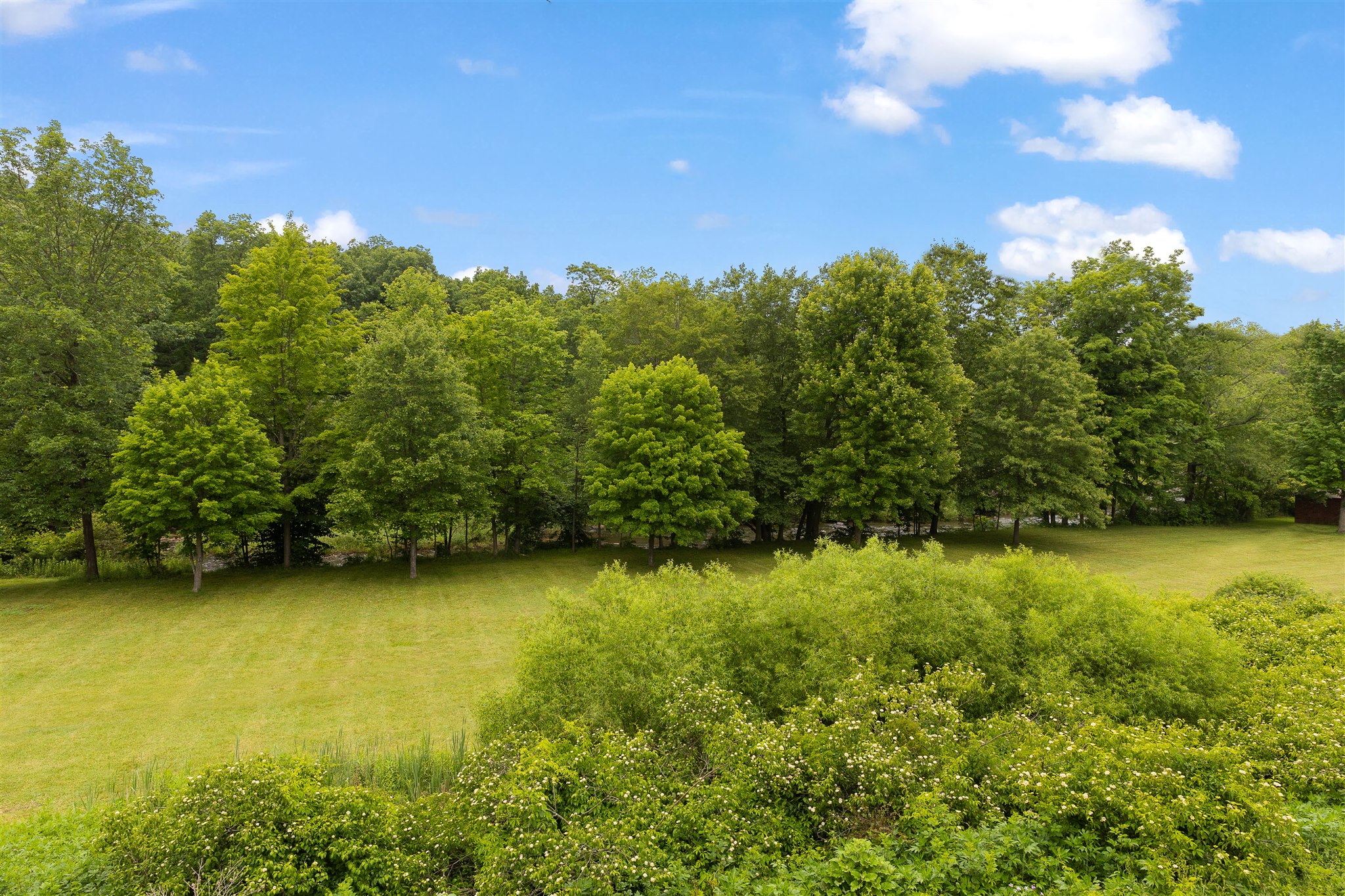 Meadow on the Casselman Riviera