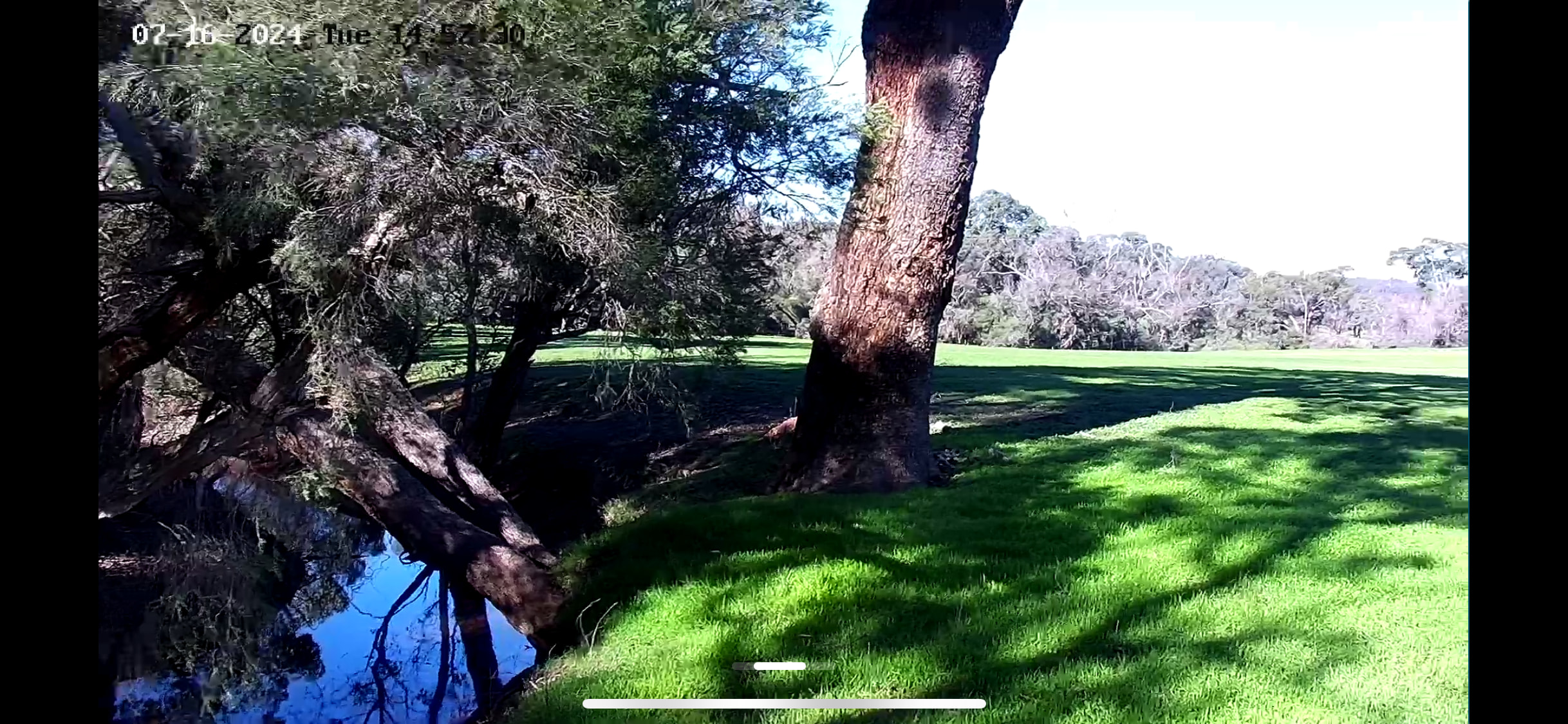 Glendale Estate