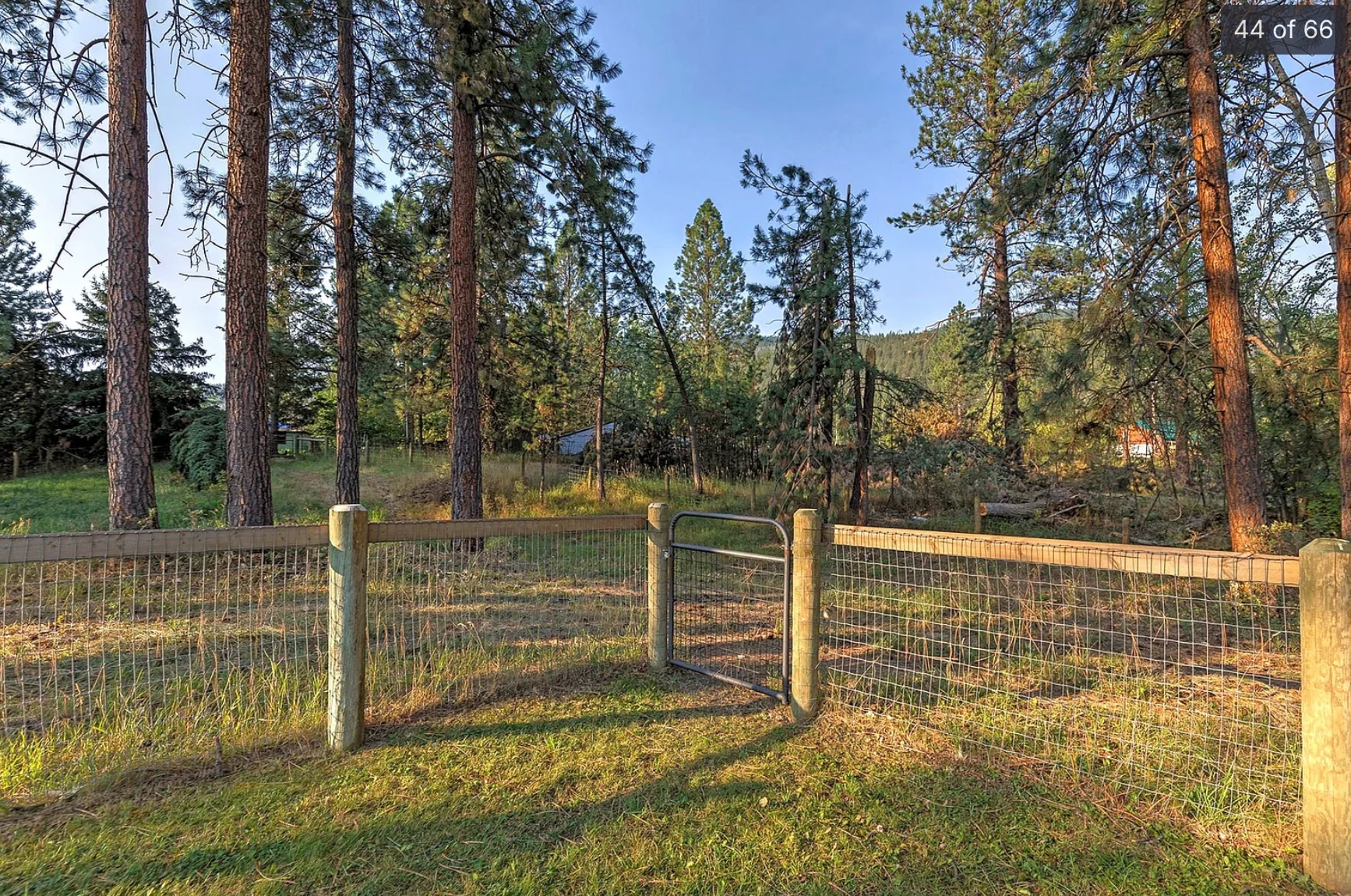 Camp Johanna