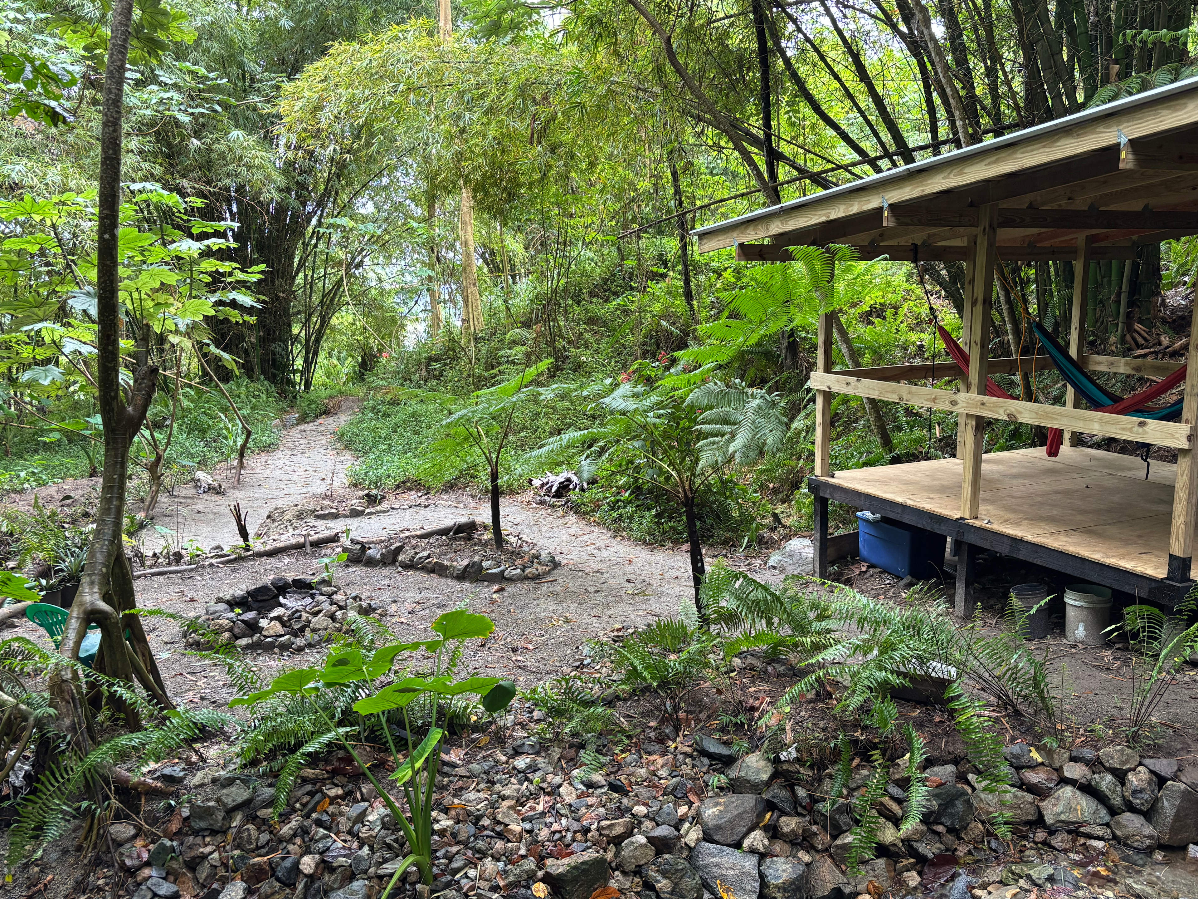 Rainforest Camping @ Verde Yuke