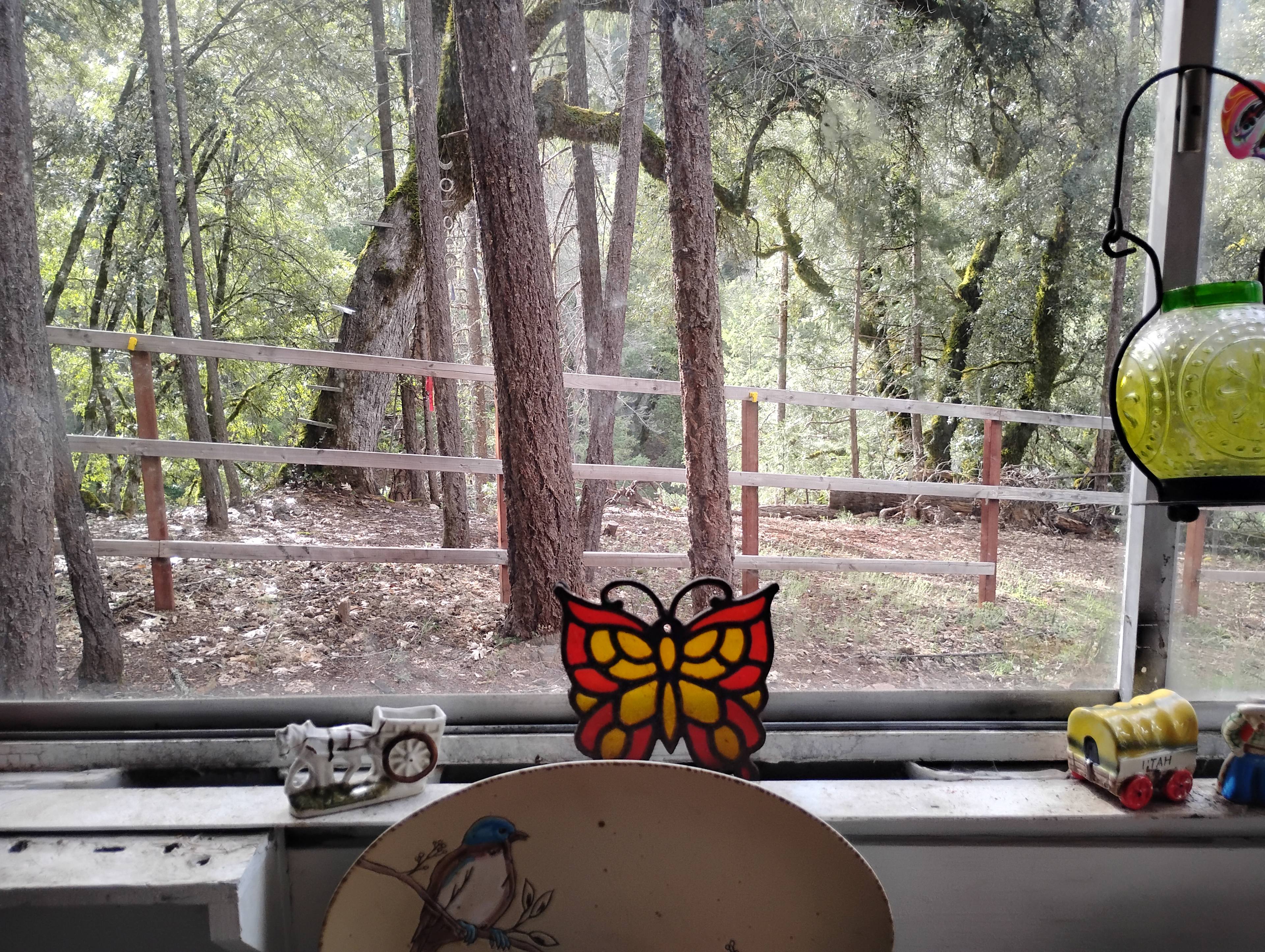 Secret Sanctuary