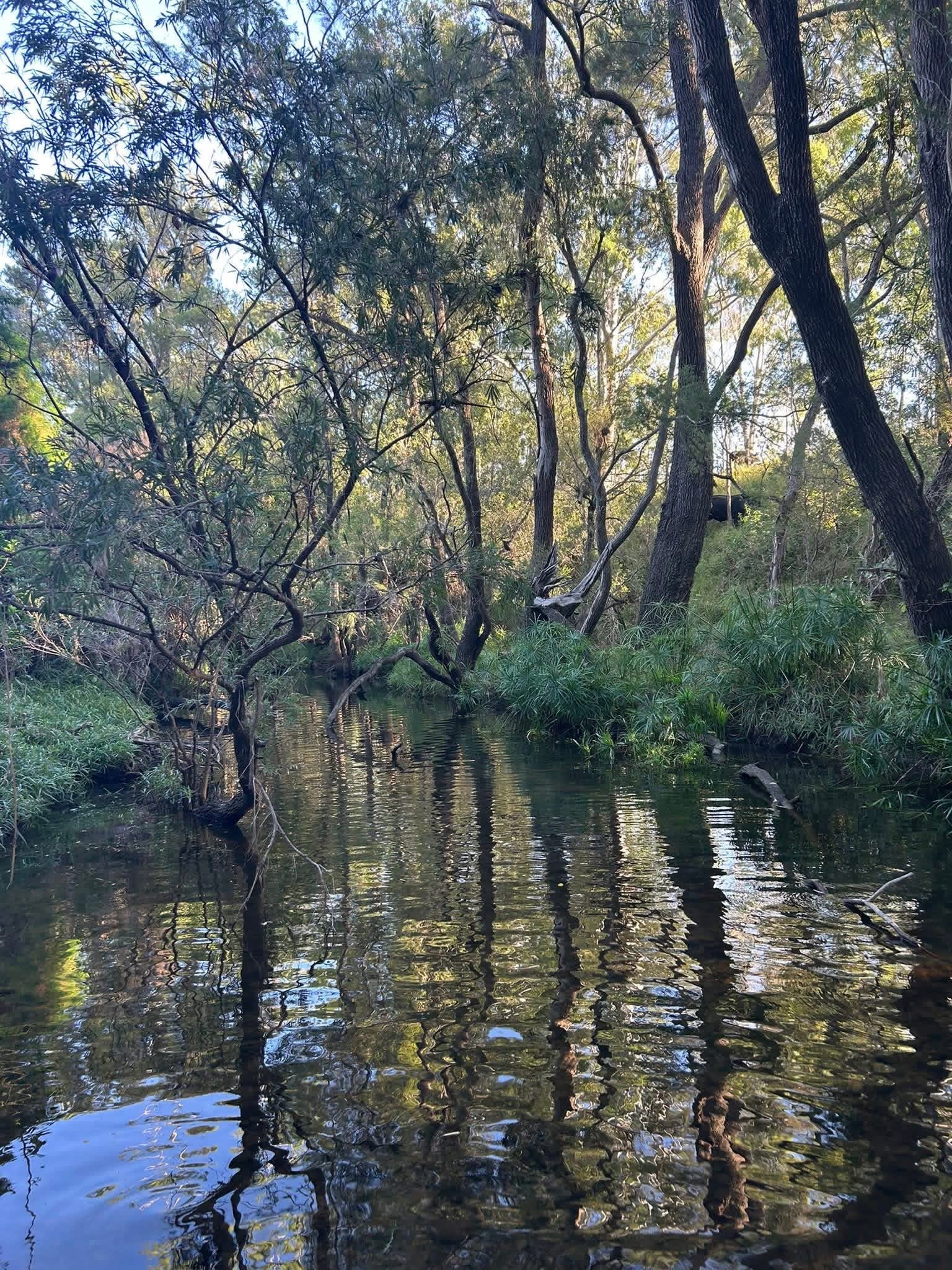 Tawah Retreat