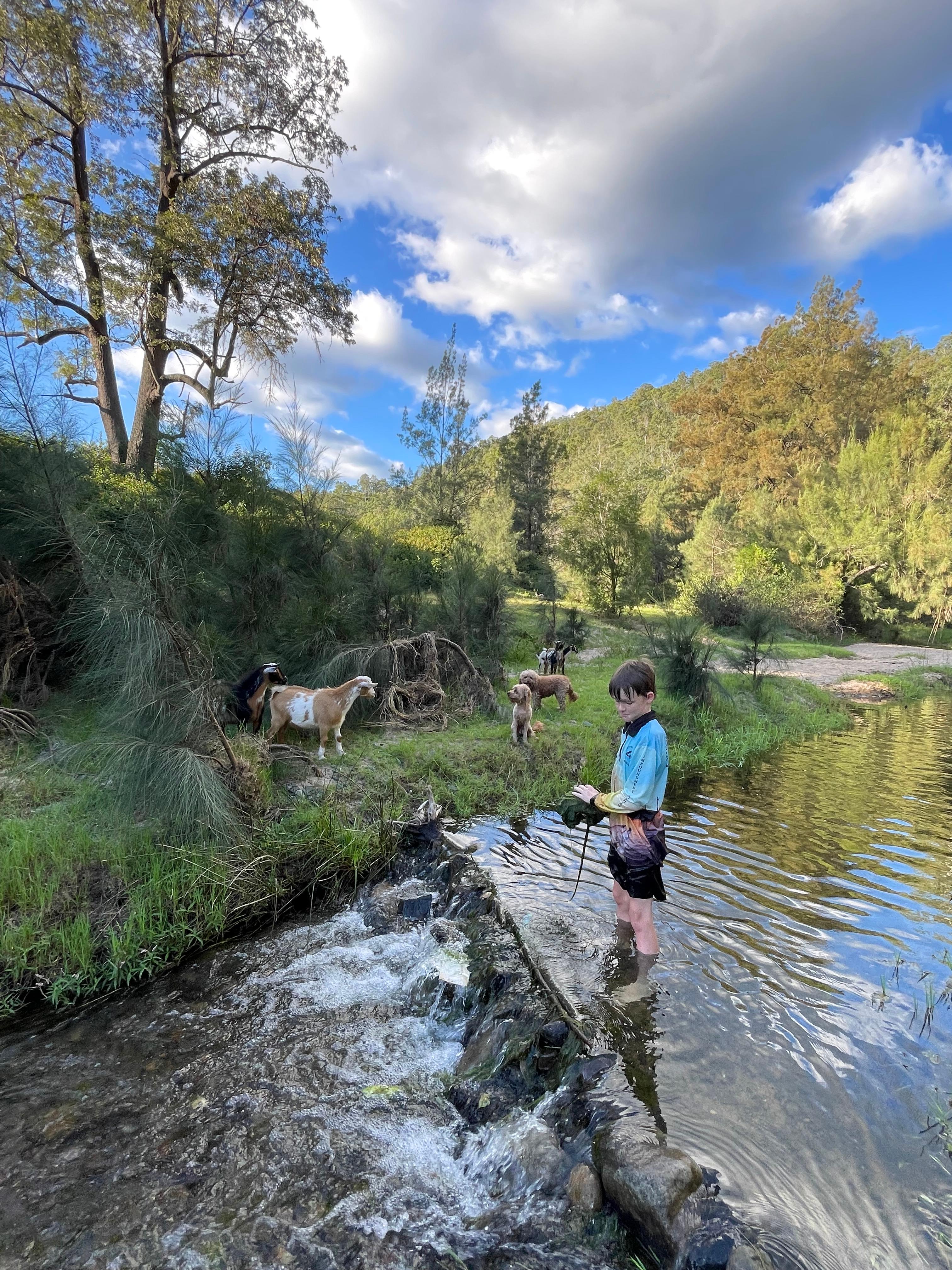 Fern Gully swimming hole 