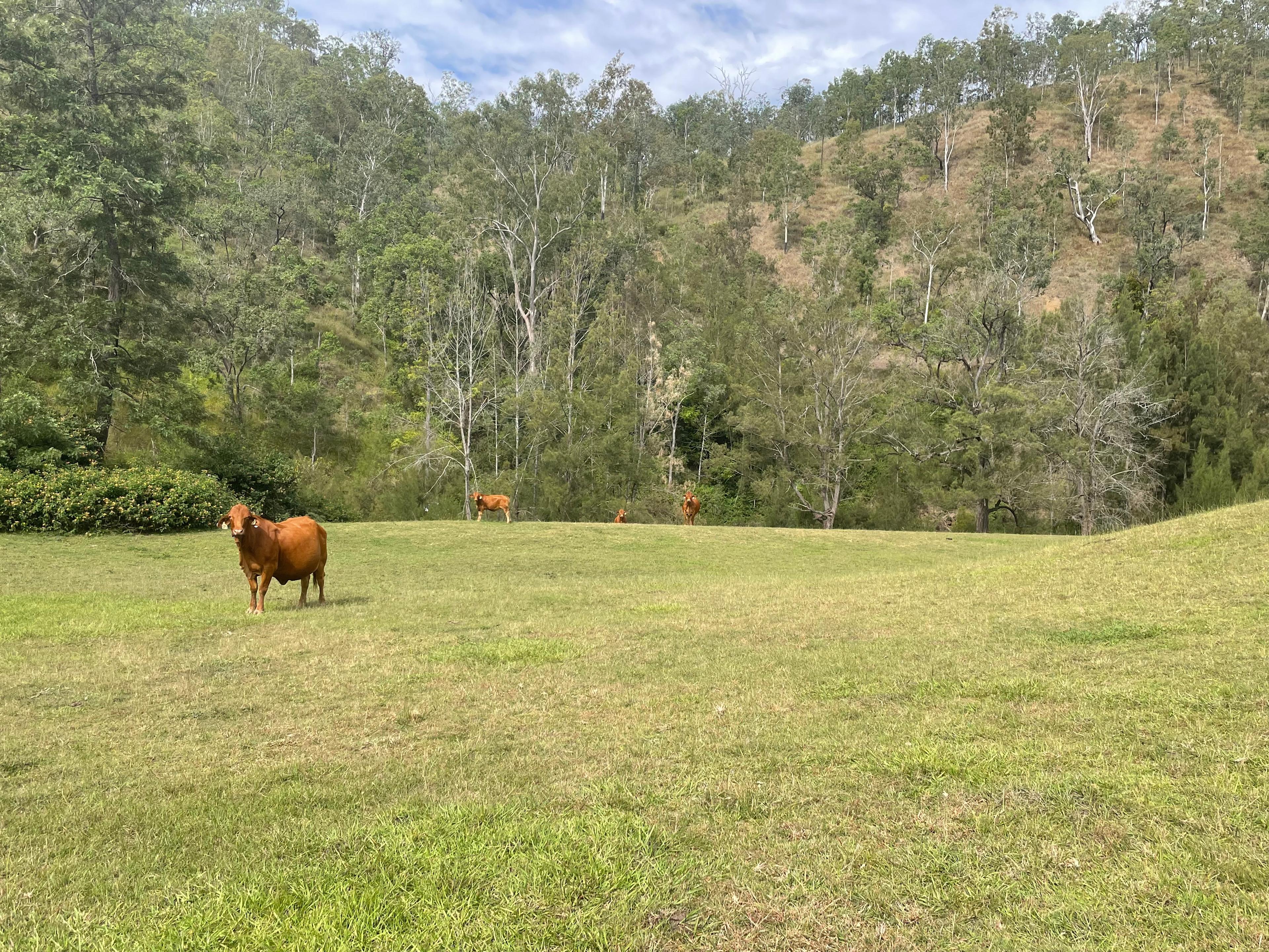 Applewood Farm