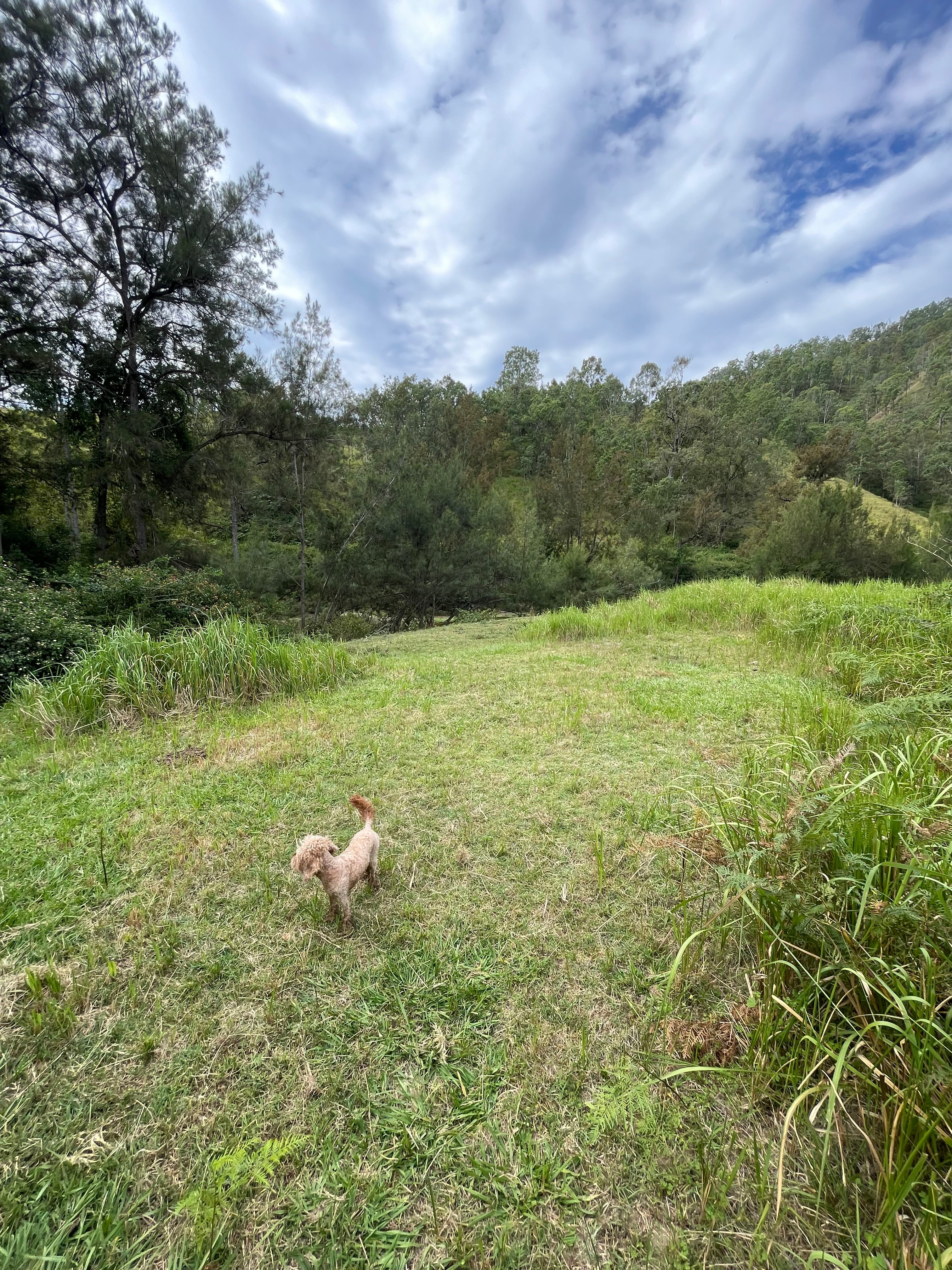 Applewood Farm
