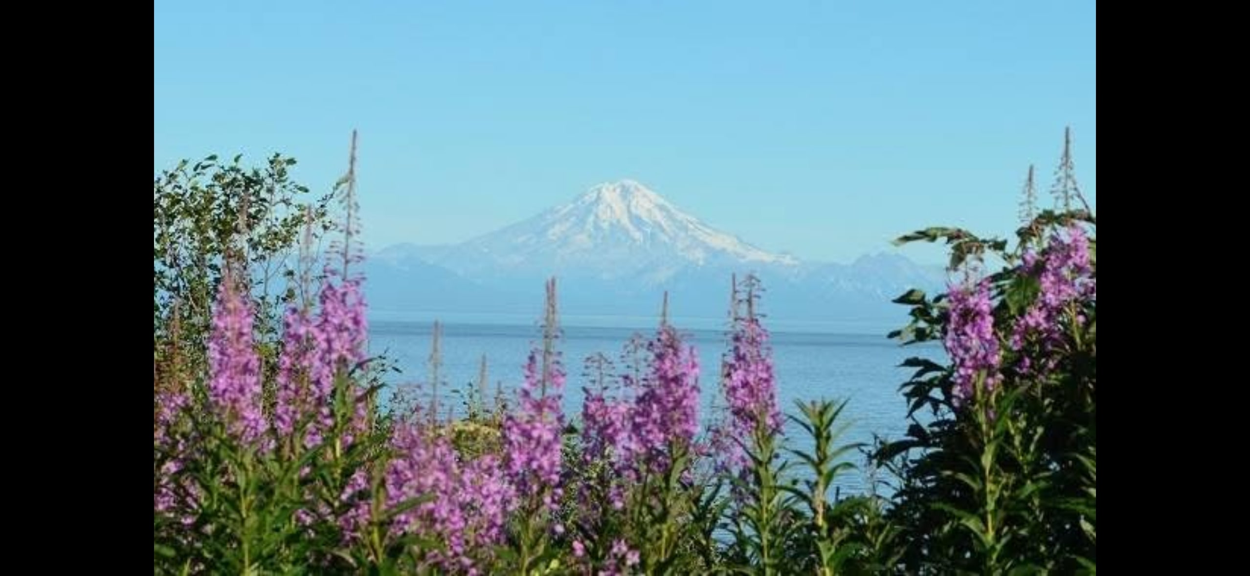 Cook Inlet Cabins