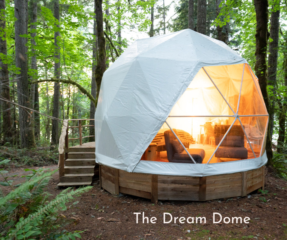 Elevation Hive Forest Retreat