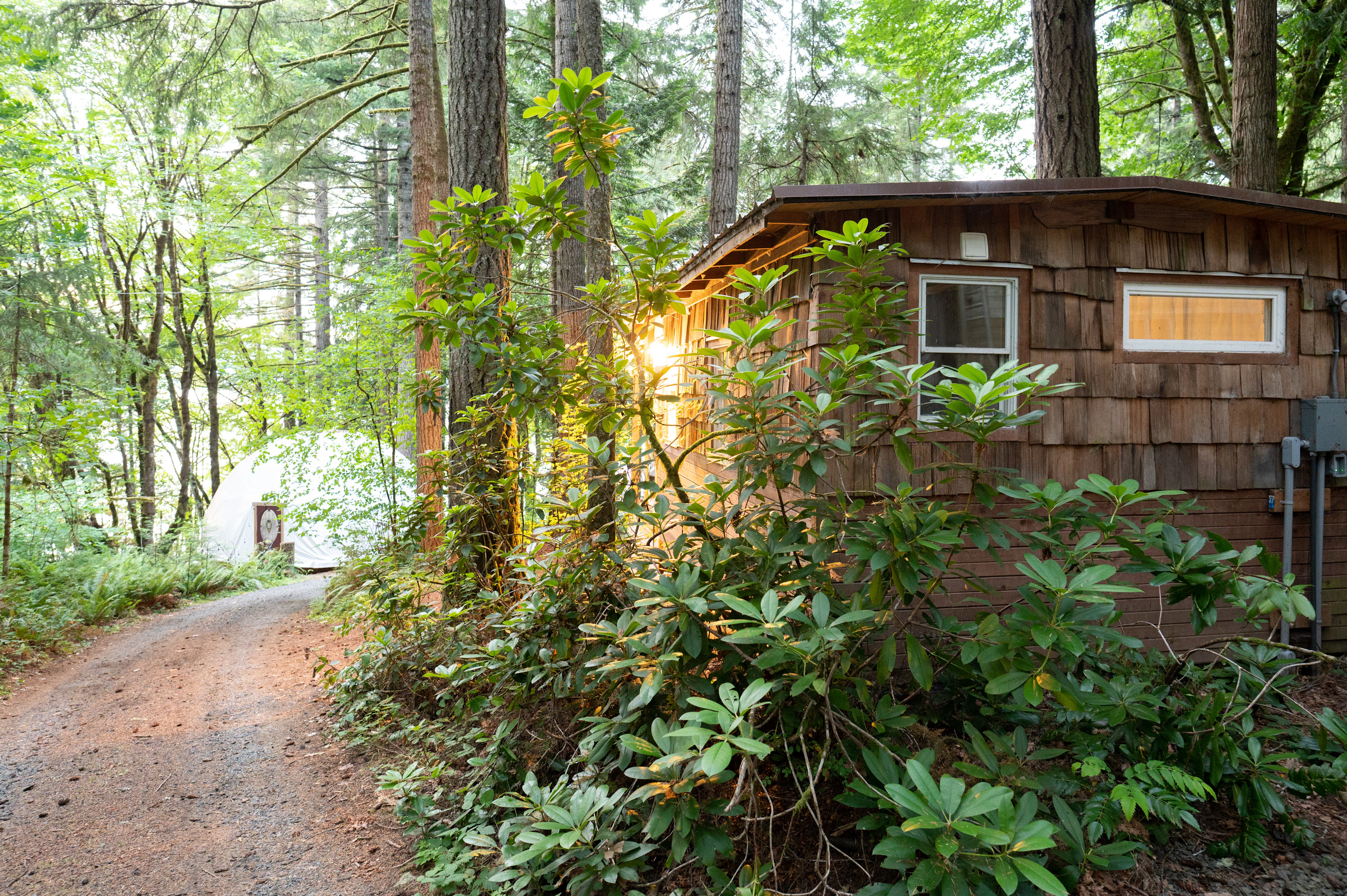 Elevation Hive Forest Retreat