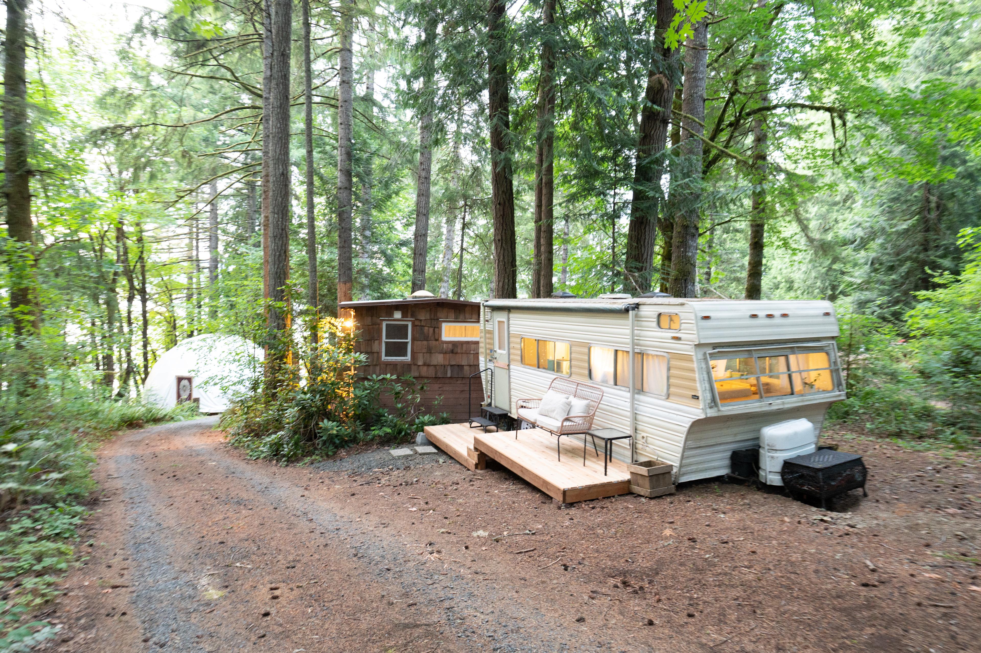 Elevation Hive Forest Retreat