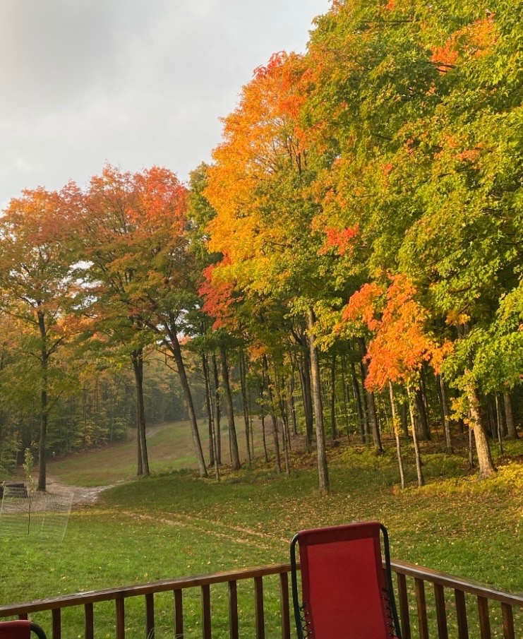 Back yard with trails