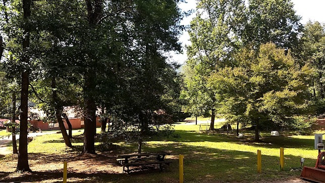 Serendipity Park