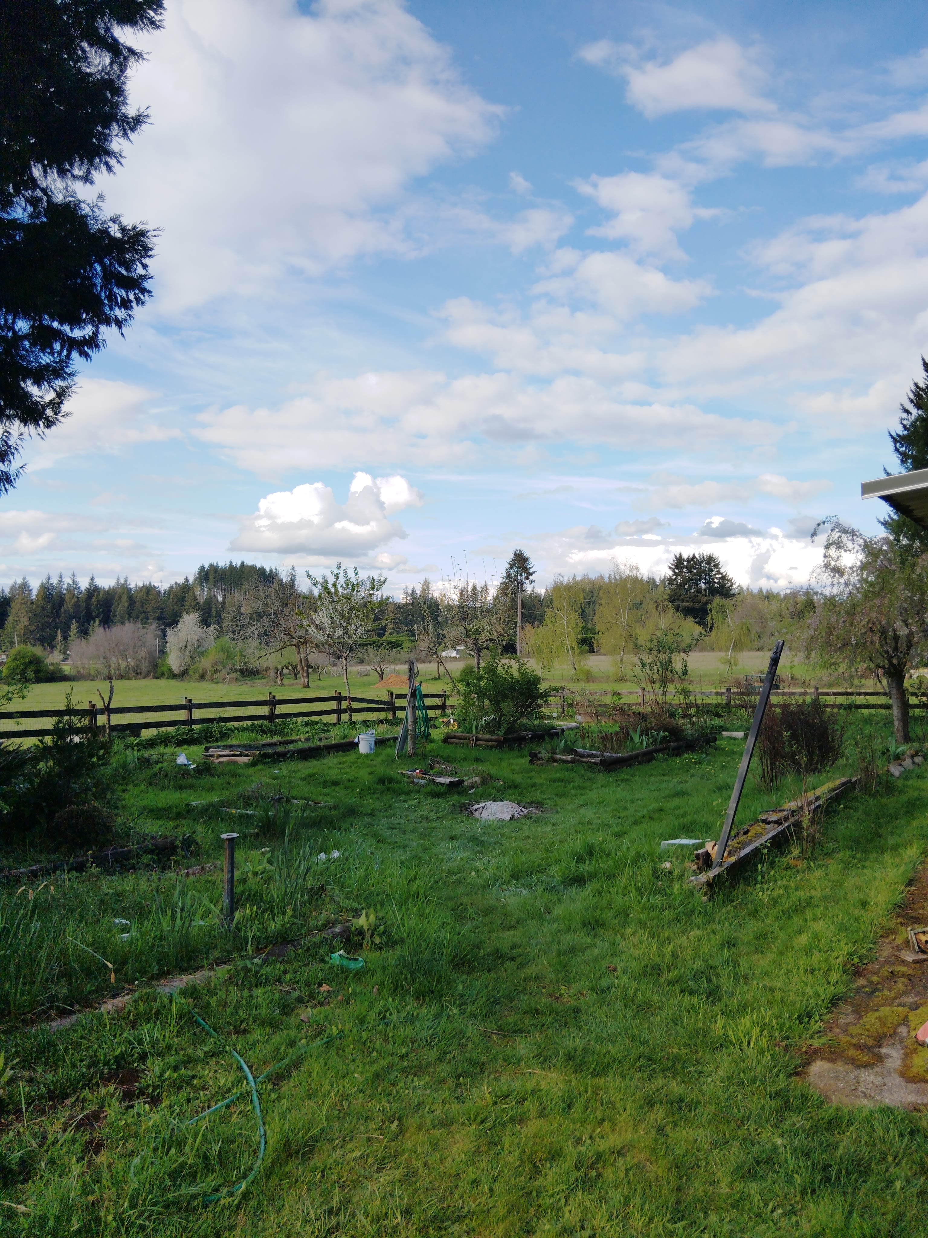 Sylvan Grove
