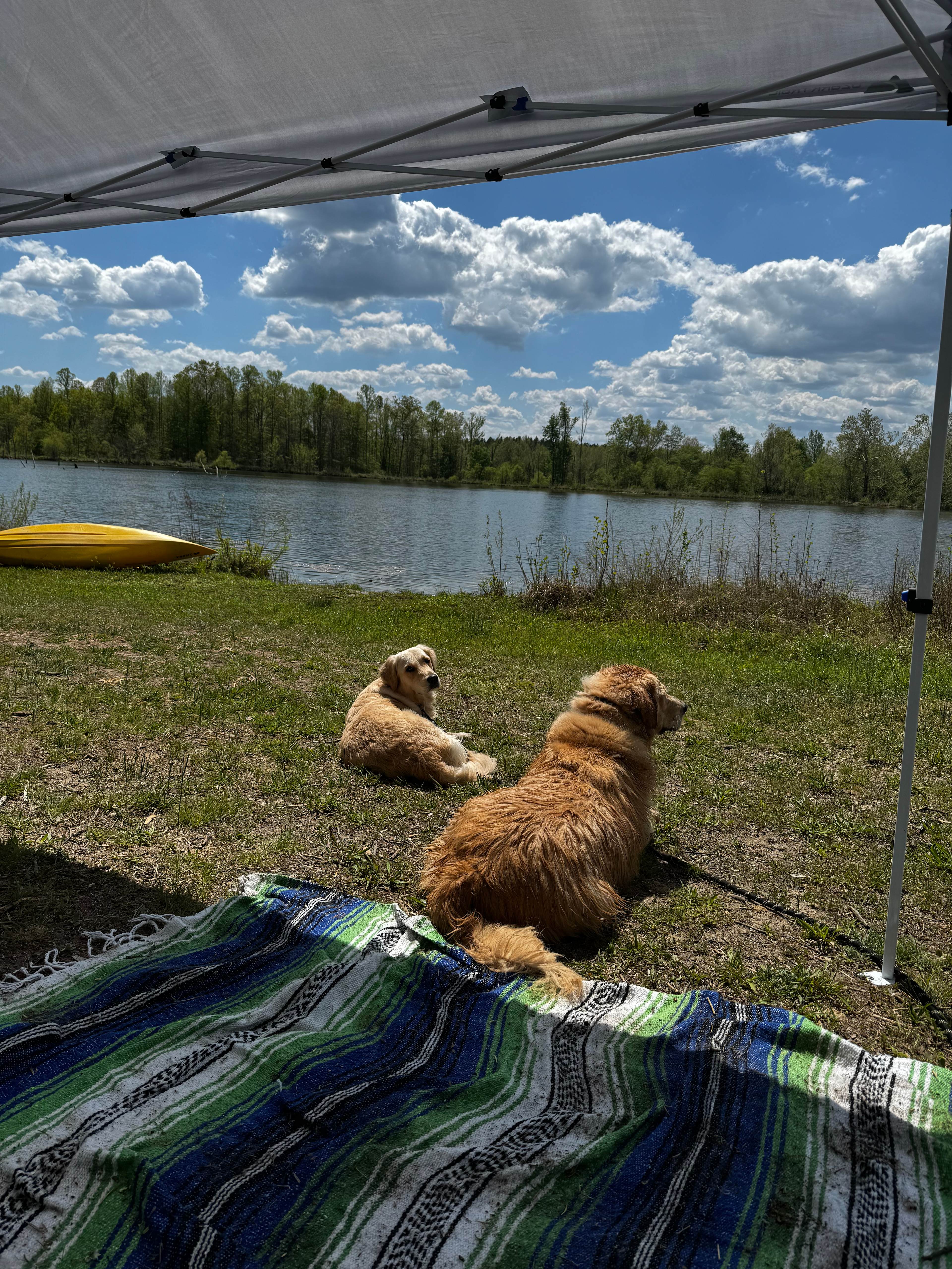 Lakefront!! Kayaks Available.