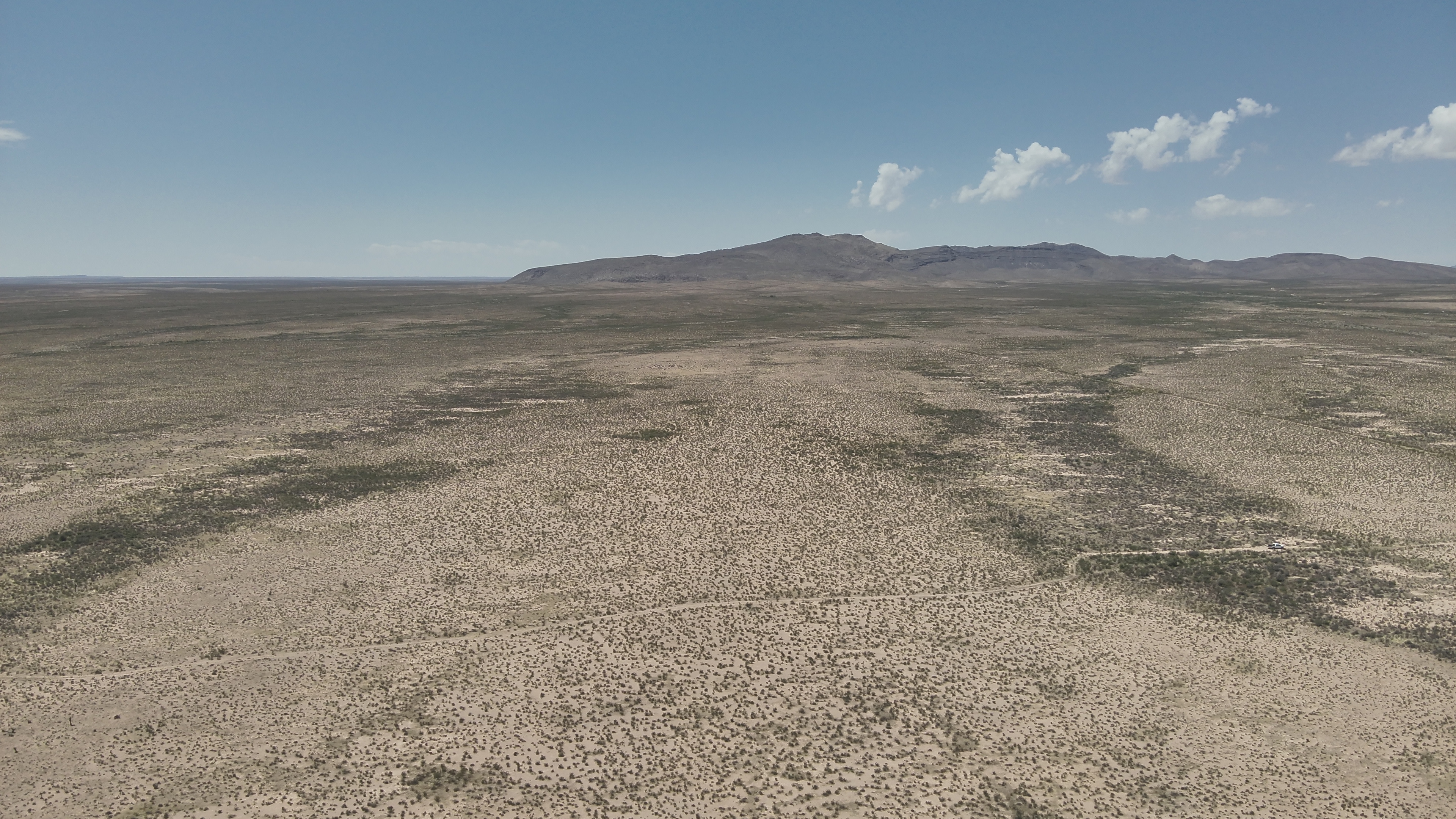 Desert Oasis