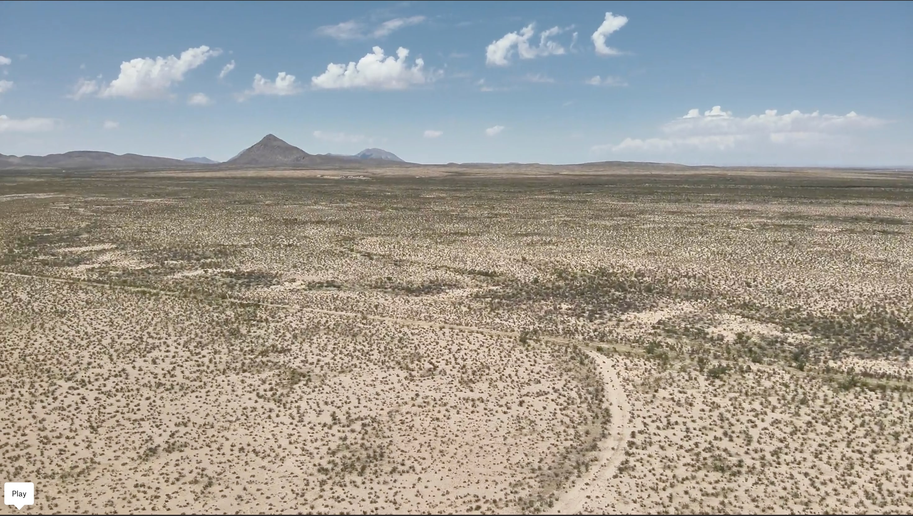 Desert Oasis