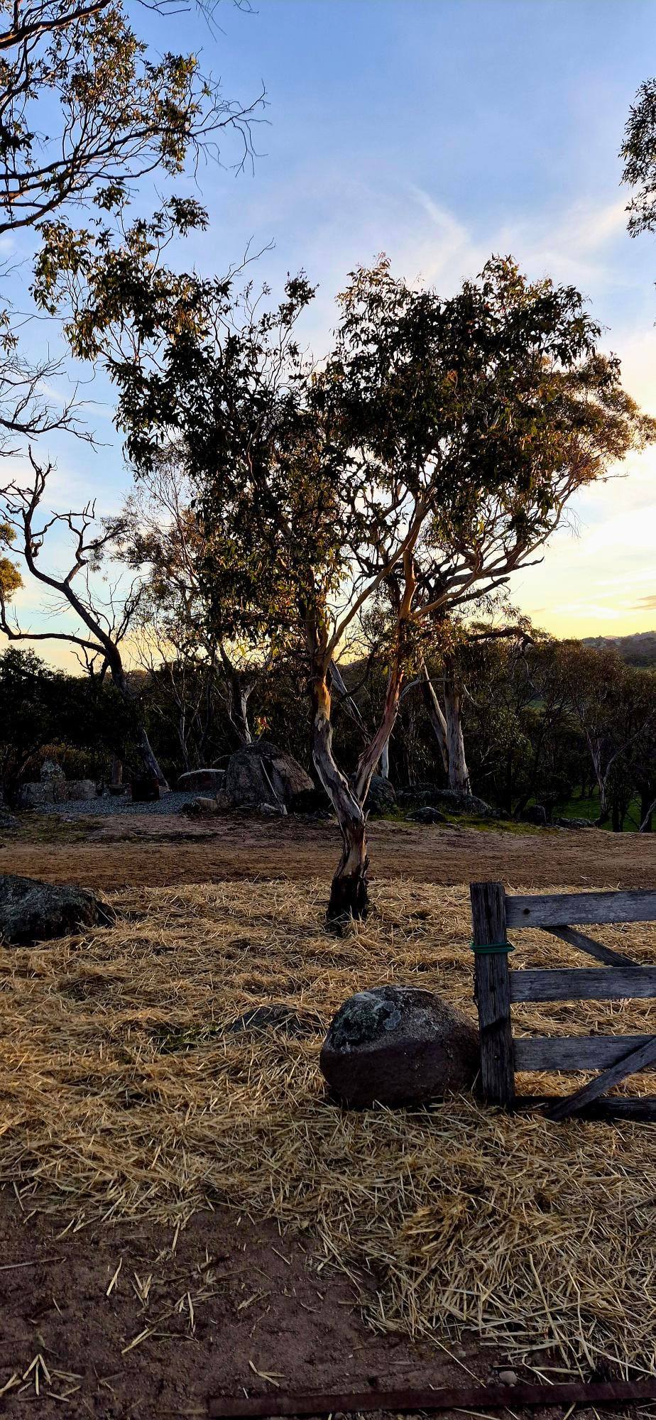 Hillview, Jindabyne