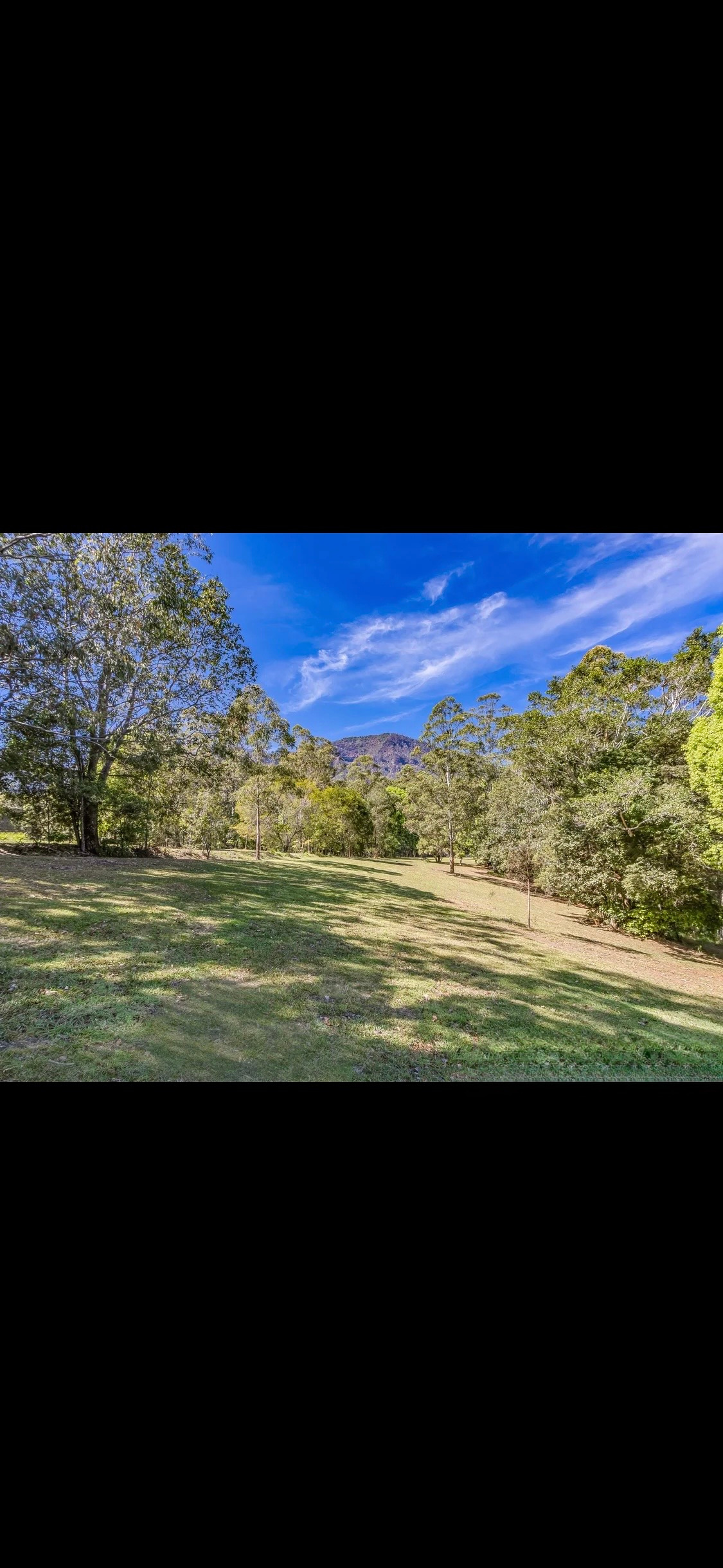 Mount Burrell