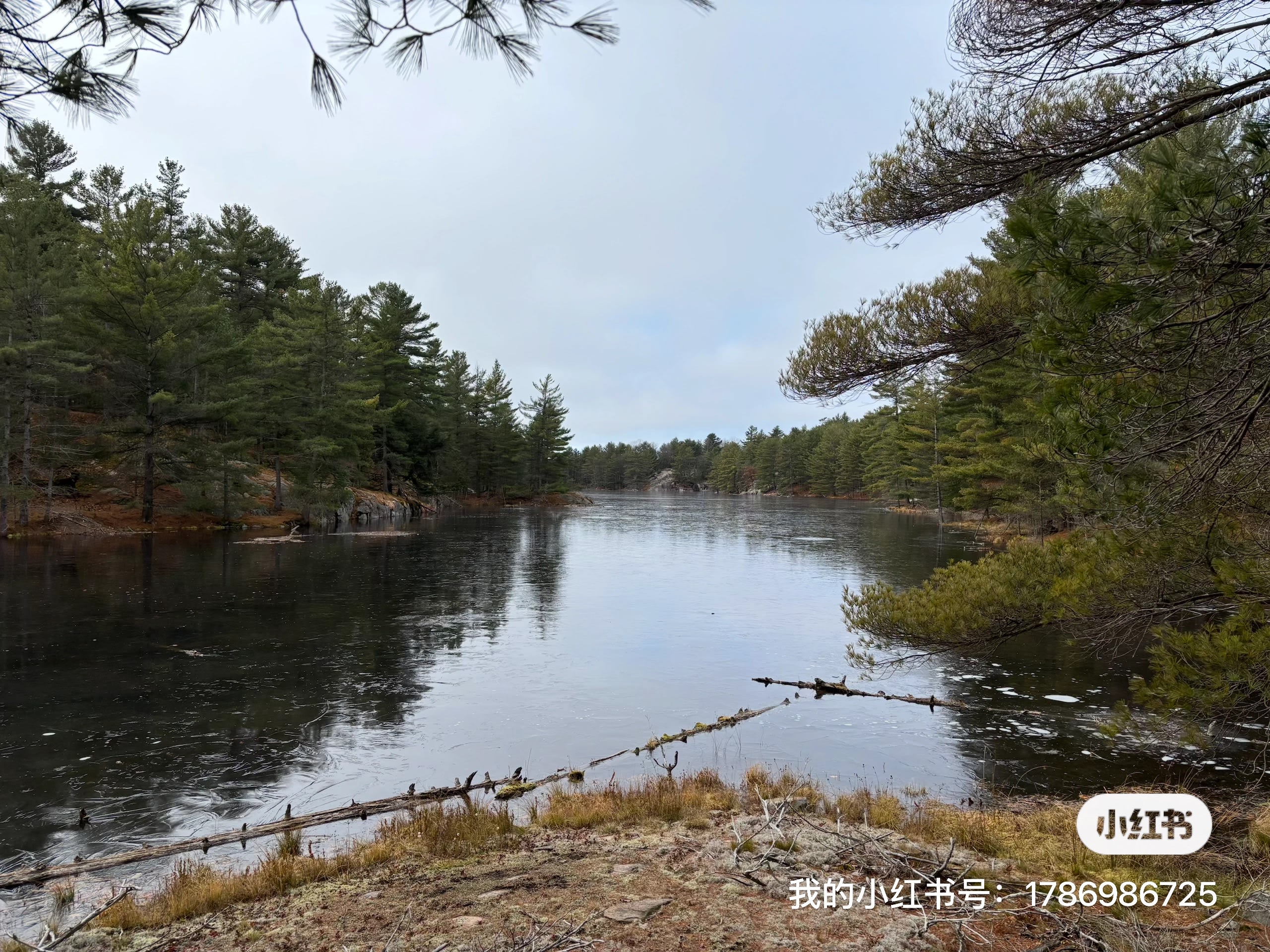 Privately Accessed Lake，44Acer Land
