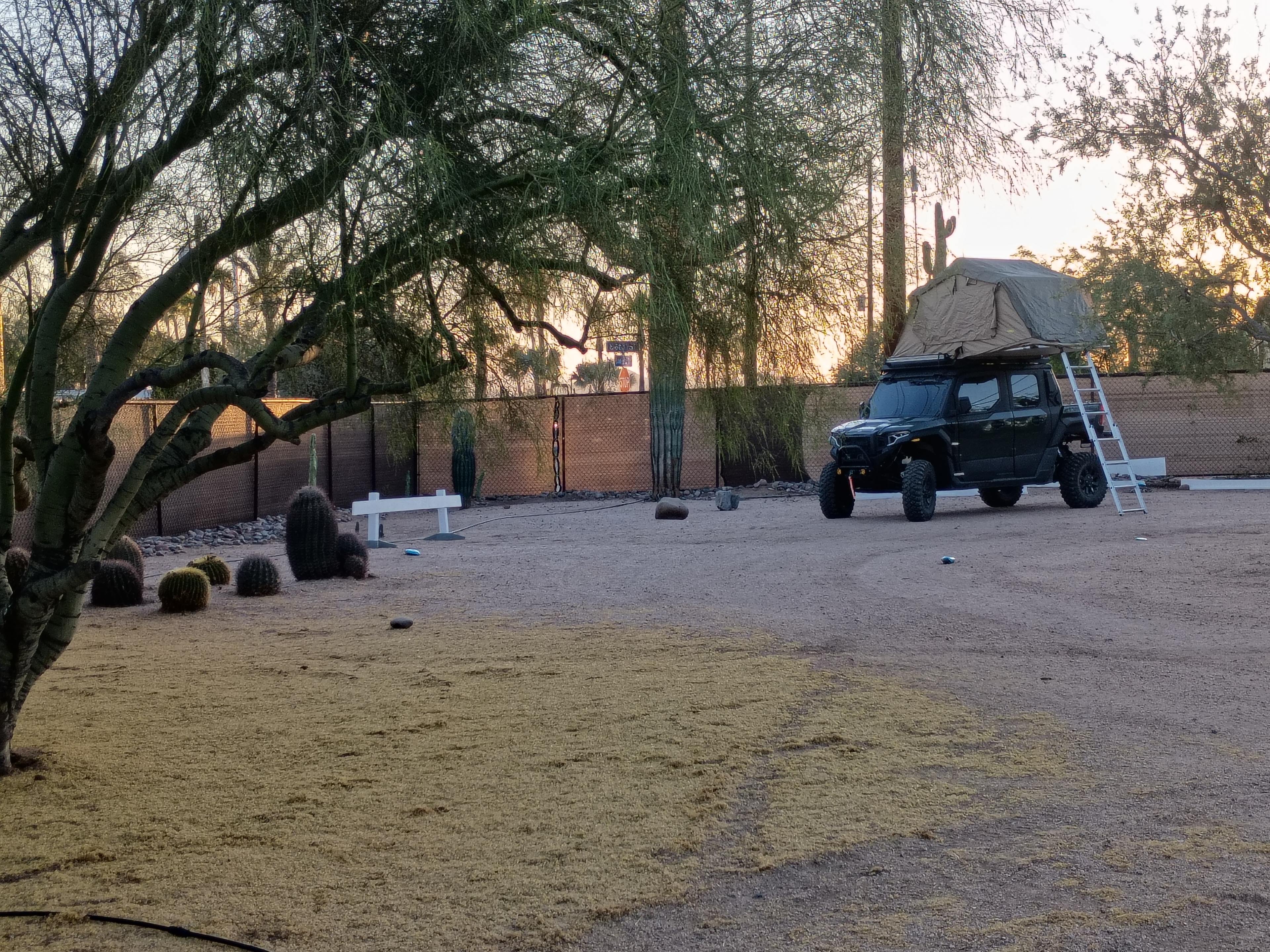 The Treehouse House @ DixiletaRanch