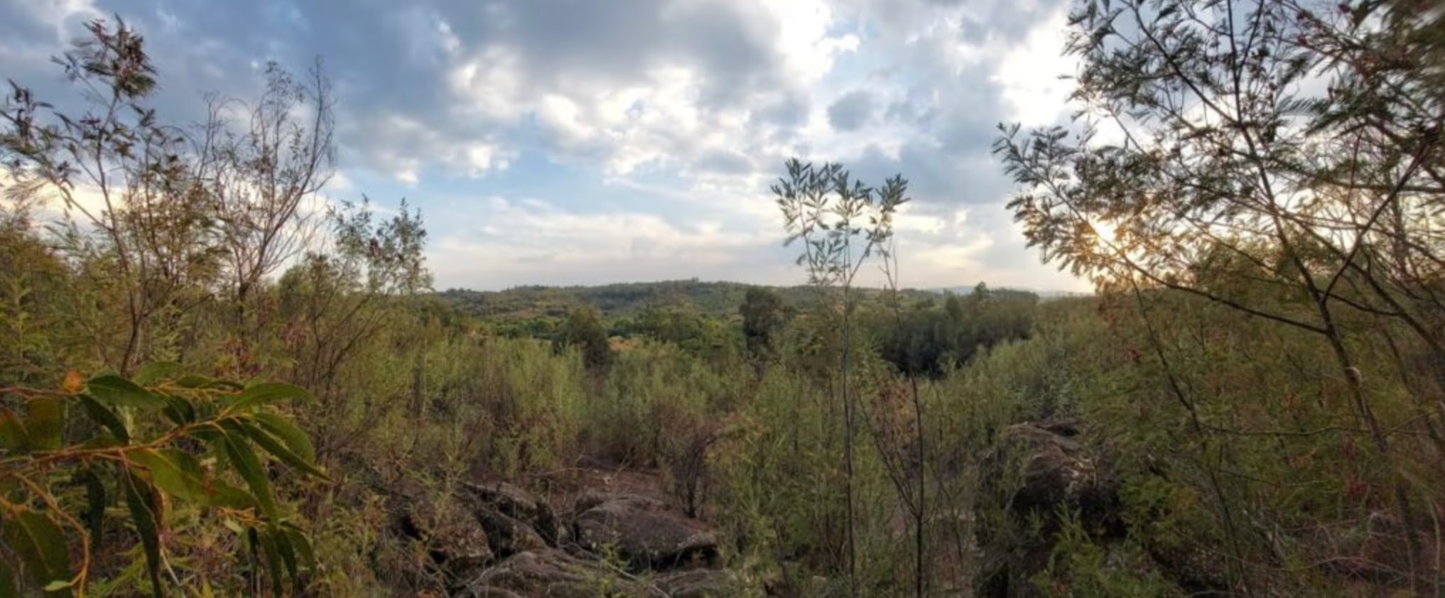 Limiar – Quiet Nature Space