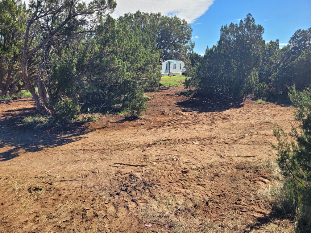 Juniper Desert Retreat