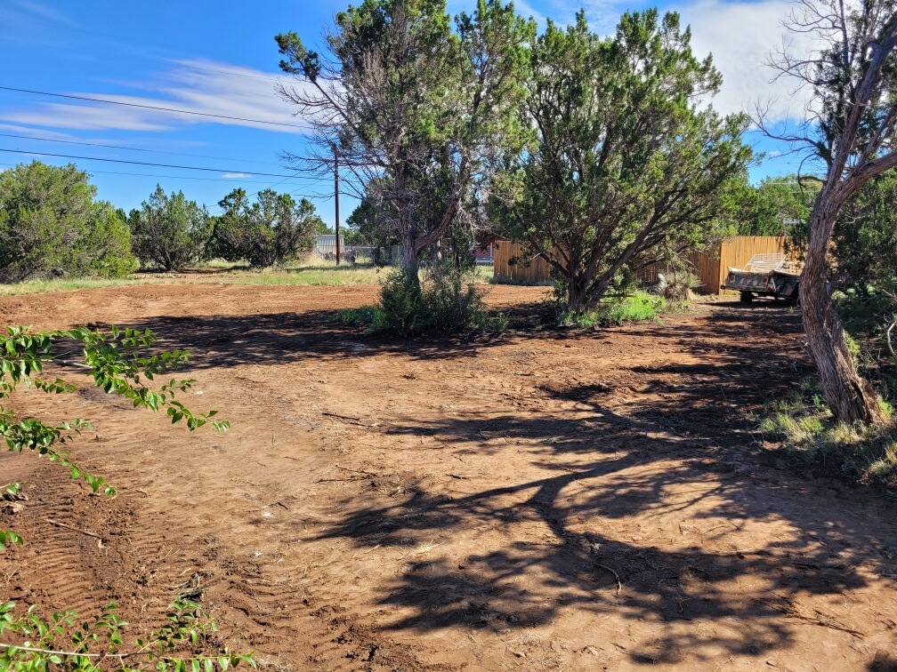 Juniper Desert Retreat