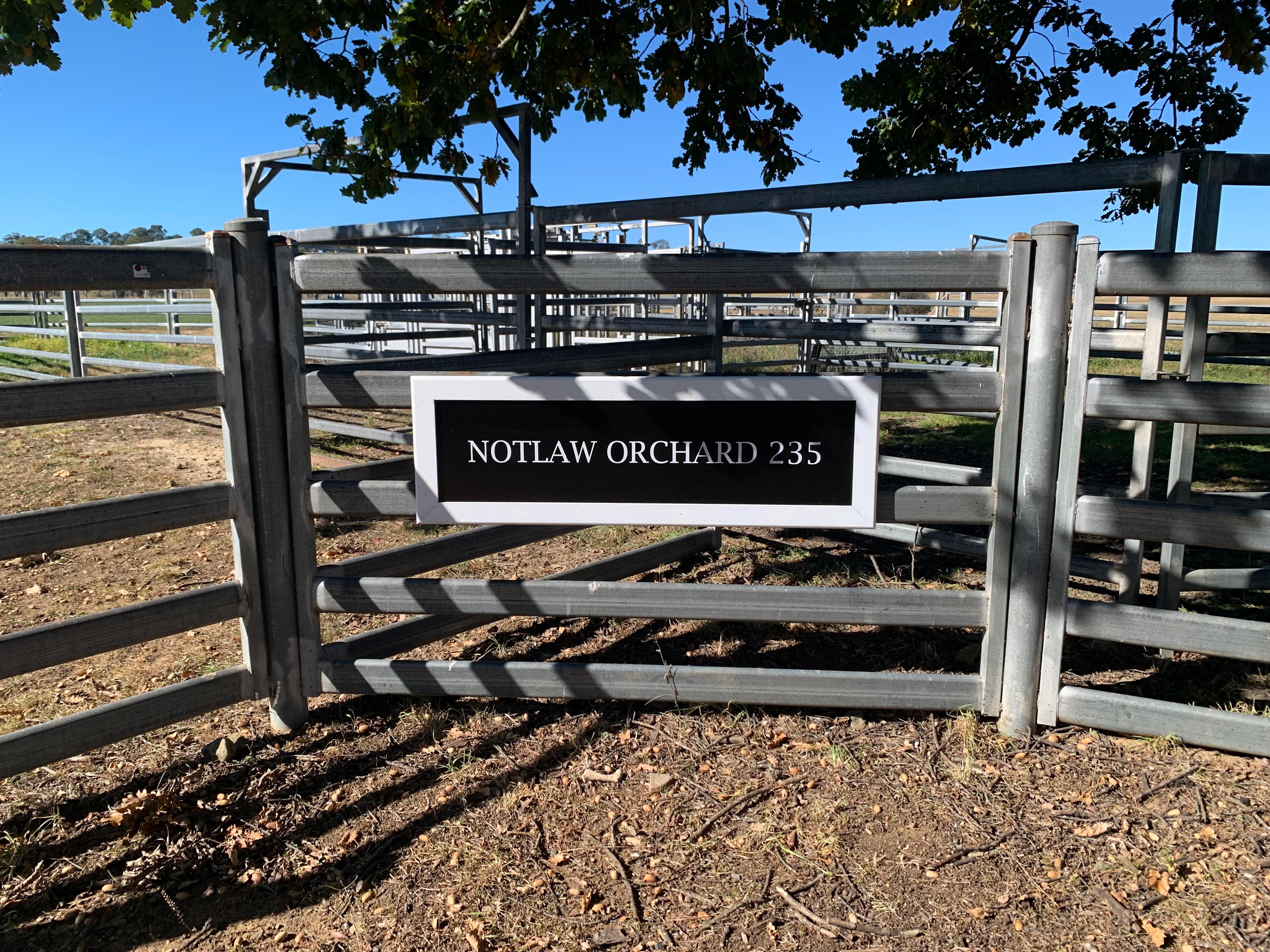 Joadja Notlaw Orchard