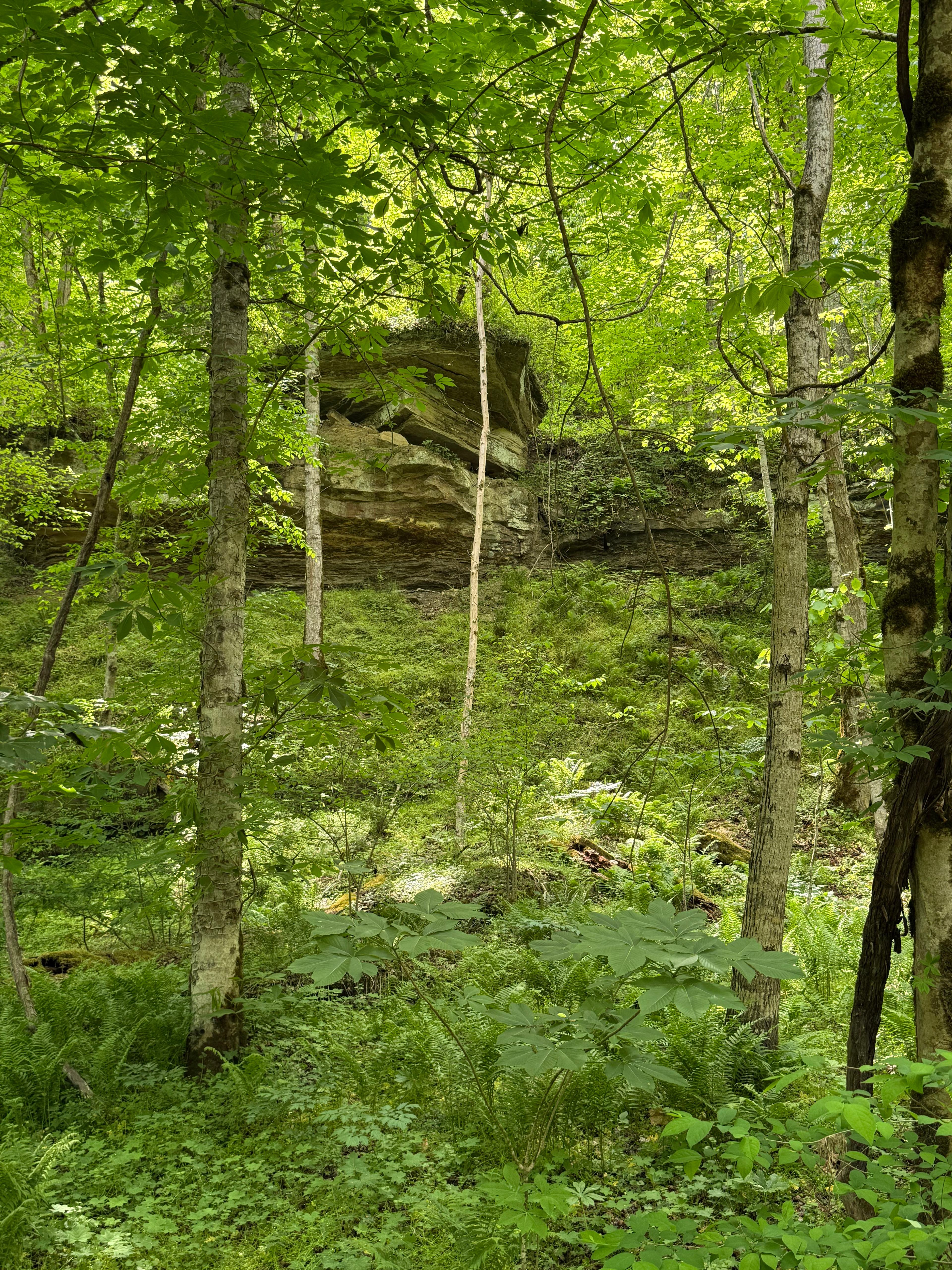 Hidden Bend on the KY River