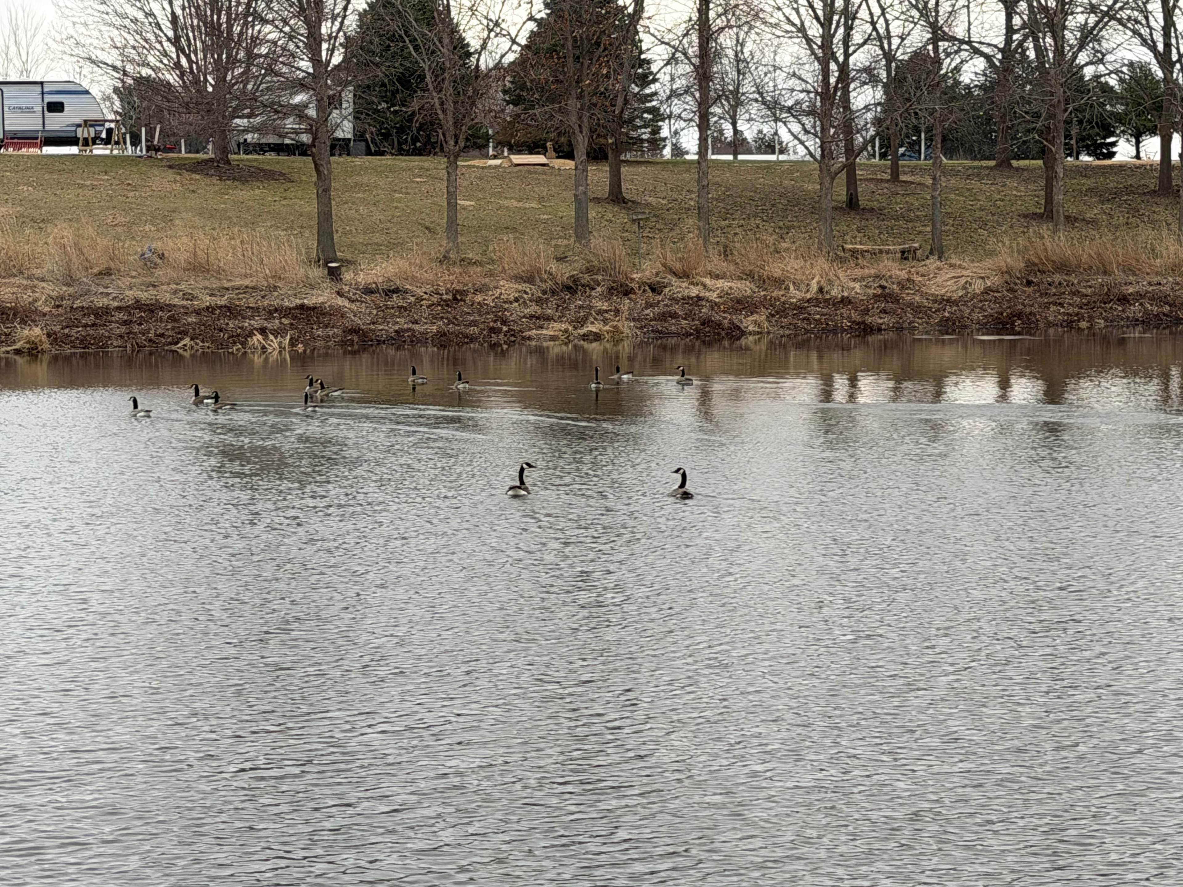 Wildlife-Water-Nature Sanctuary
