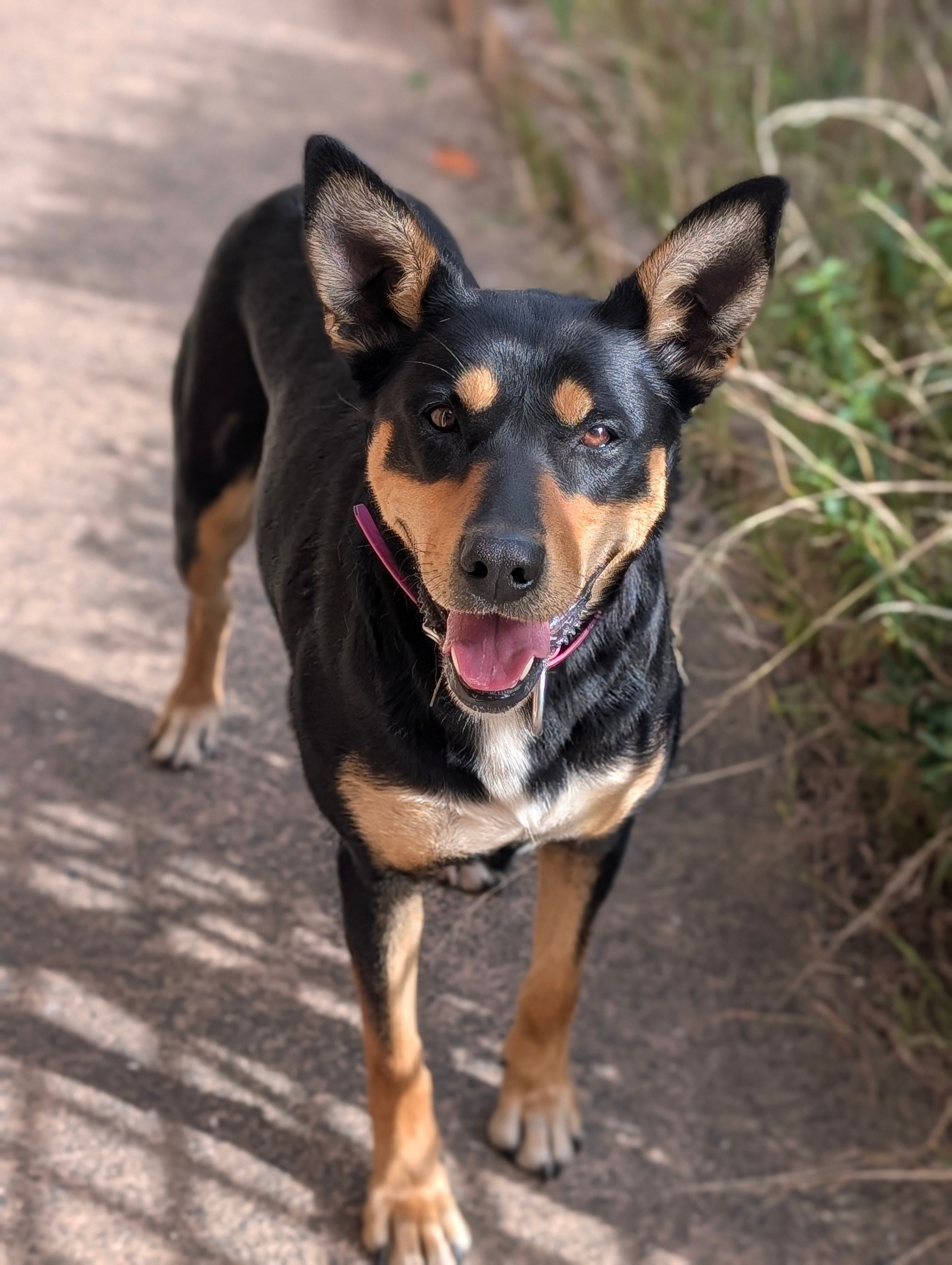 Site manager Bonnie. 