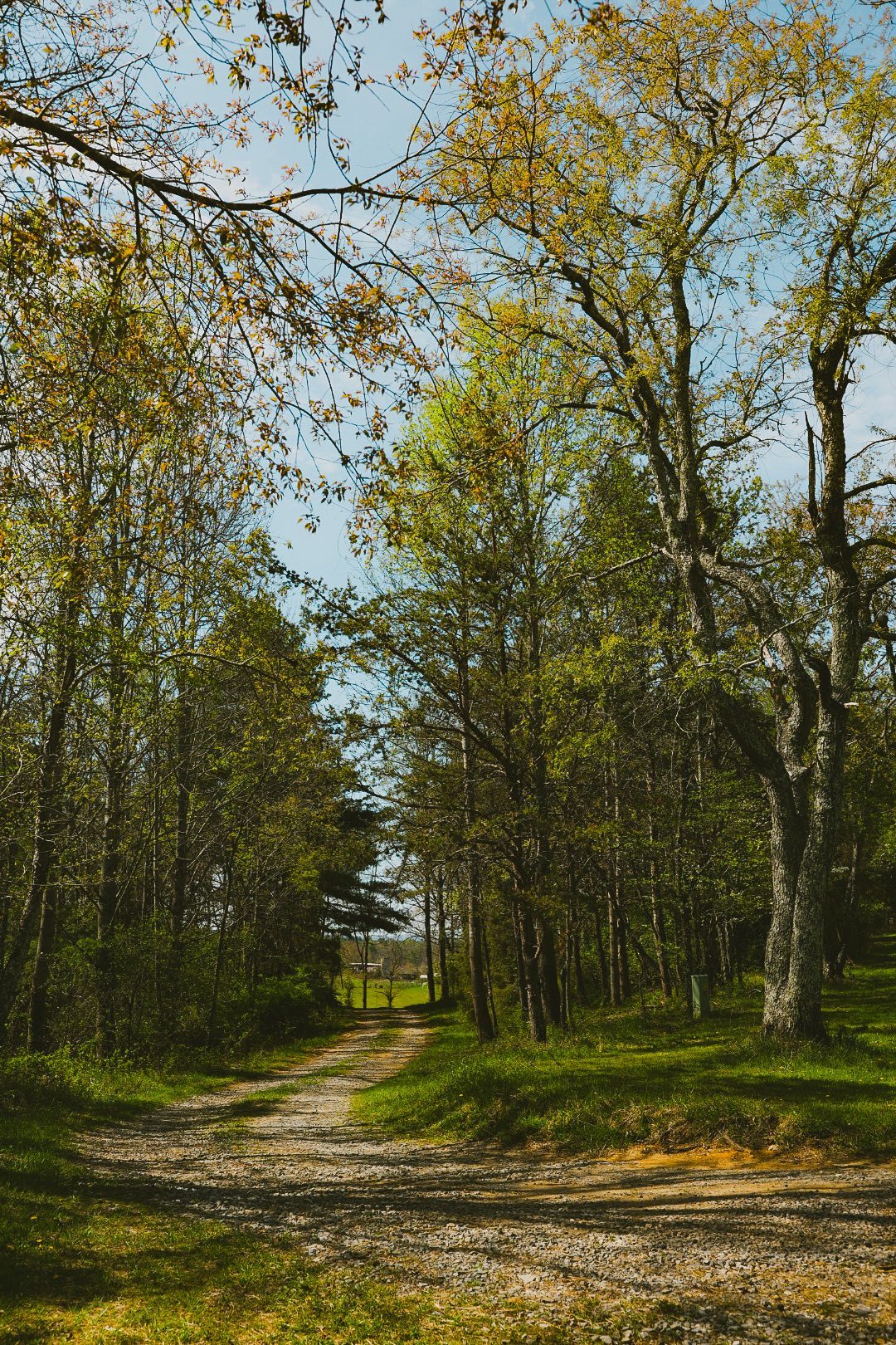 Floyd Glamping @ Bluebird Sanctuary