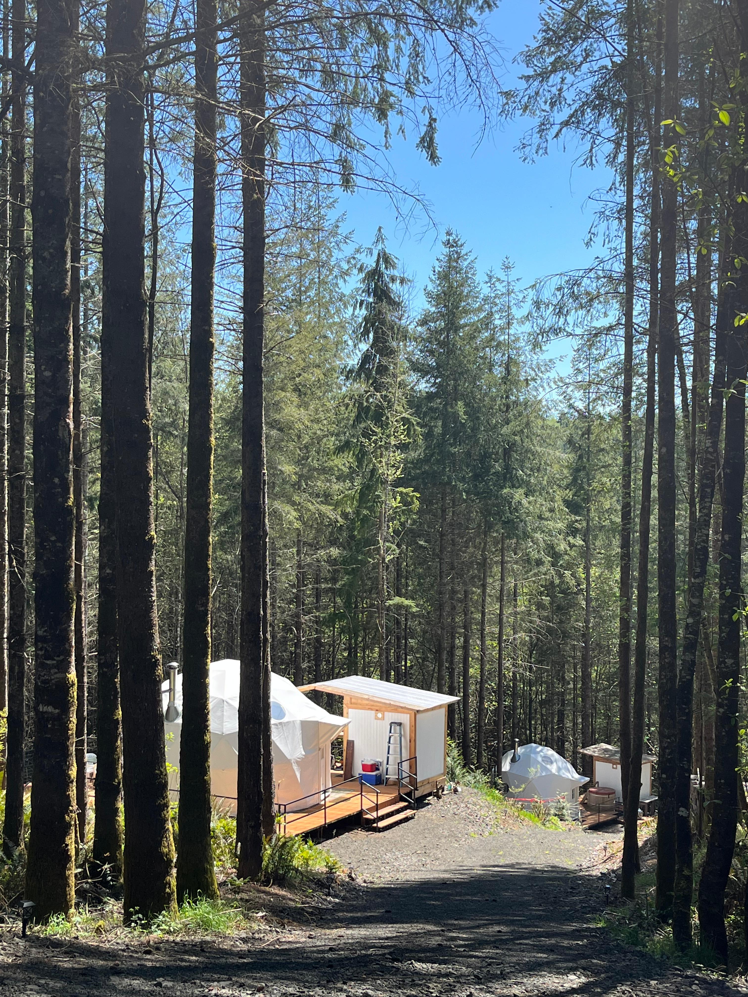 Los Helechos Glamping