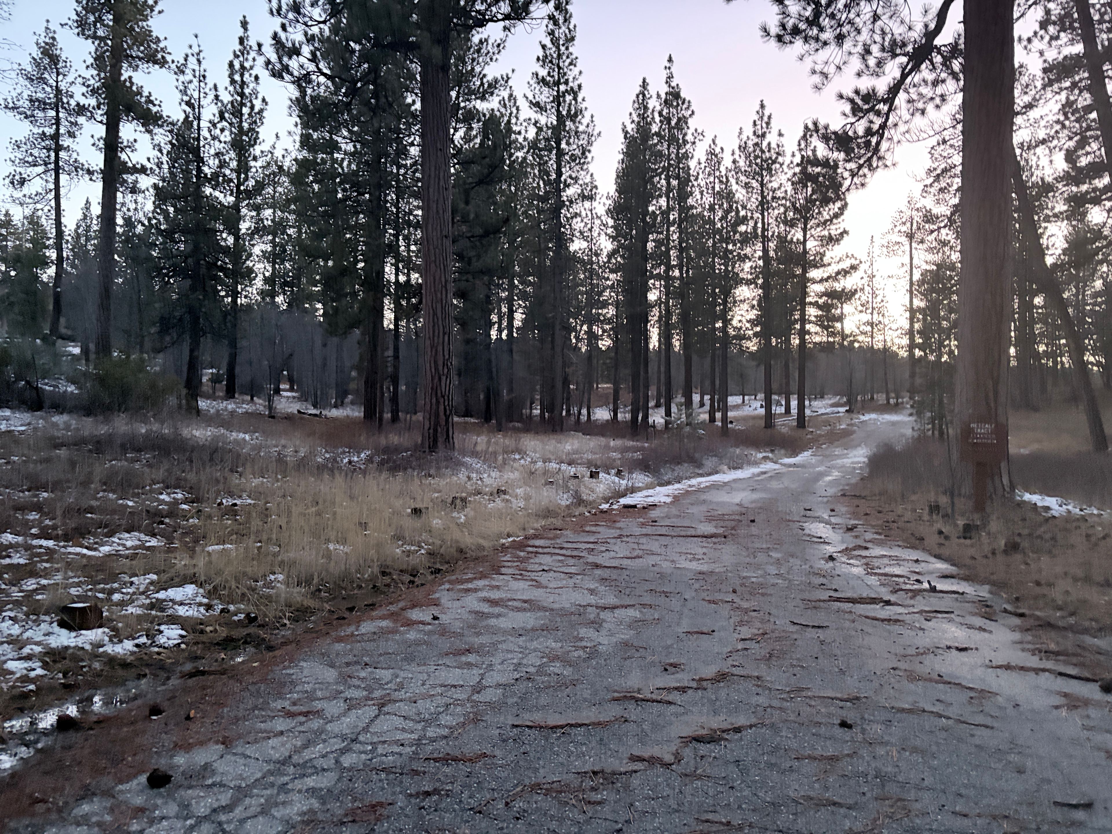 Big Bear Lake Tiny Home