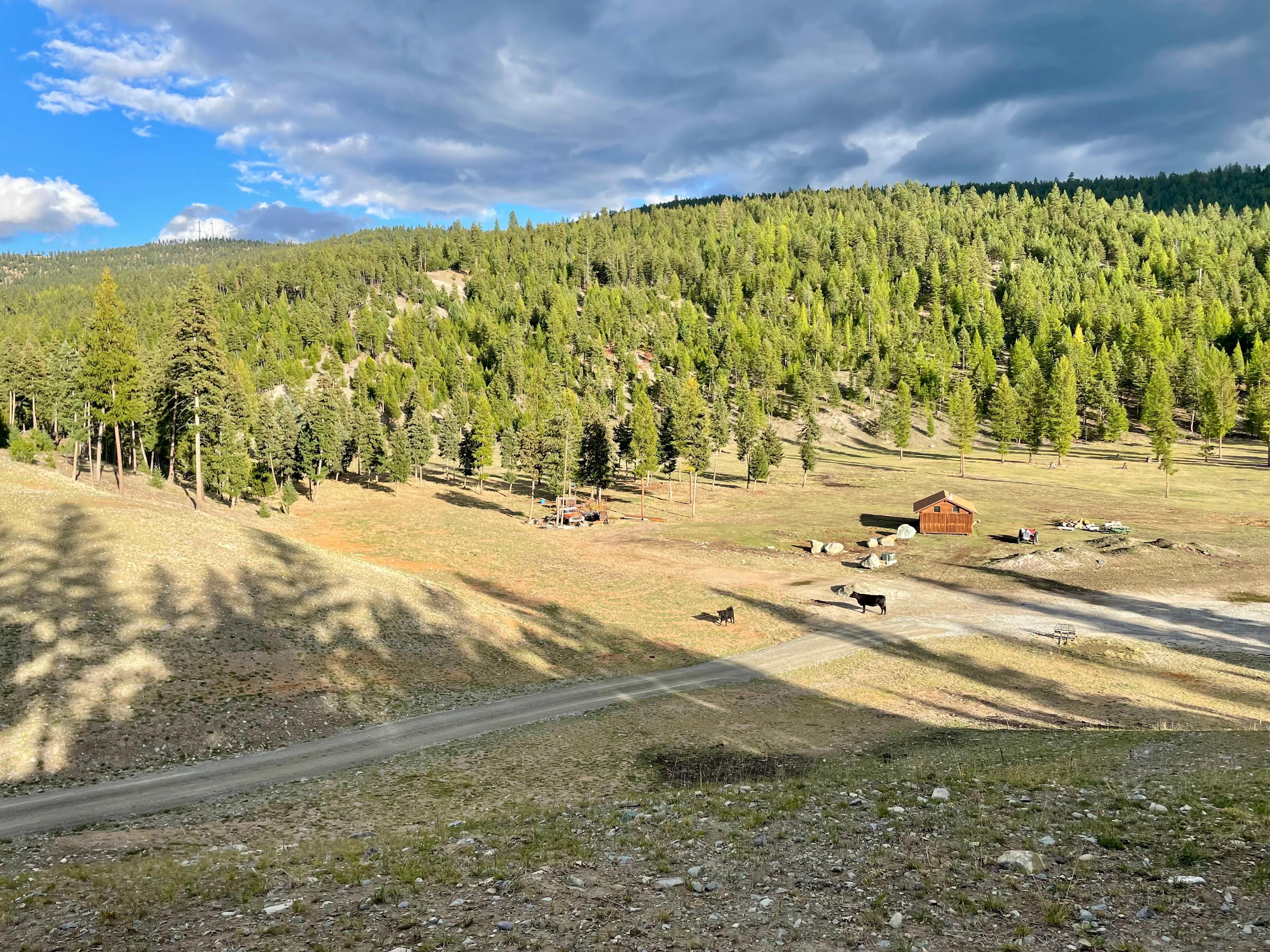 Blue Mountain Campsites