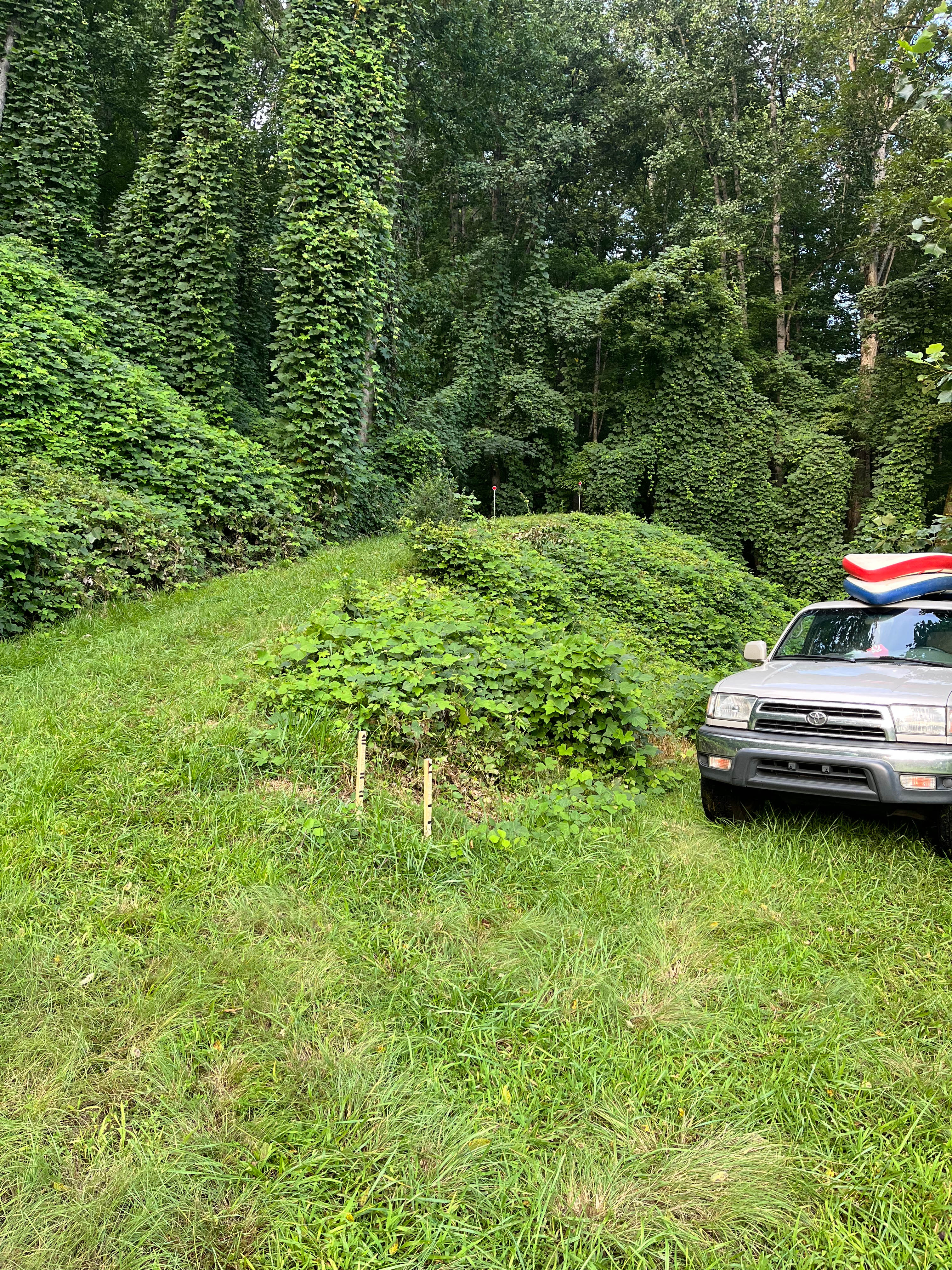 Inspiration Ridge