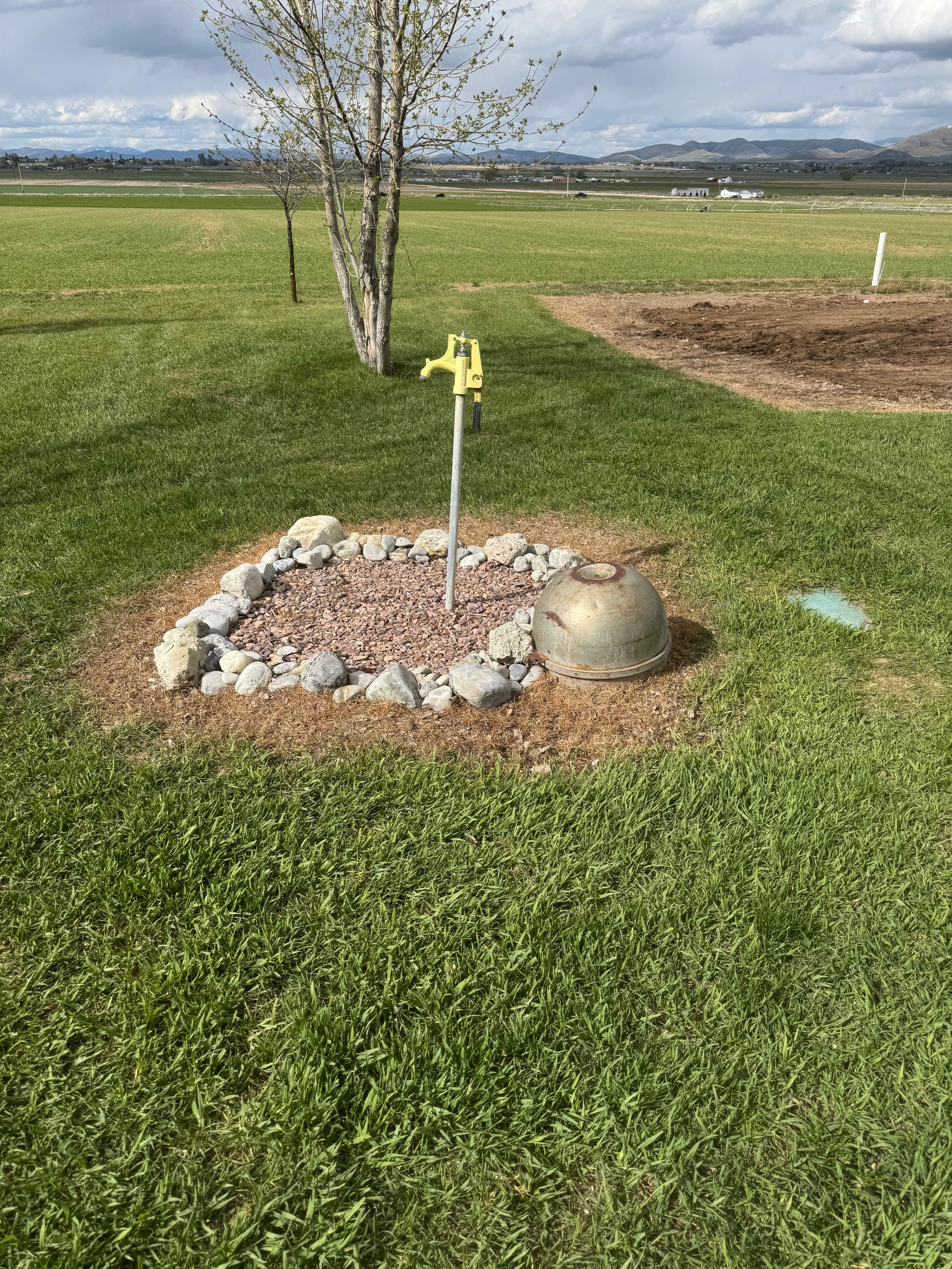 Rosebud Ranch