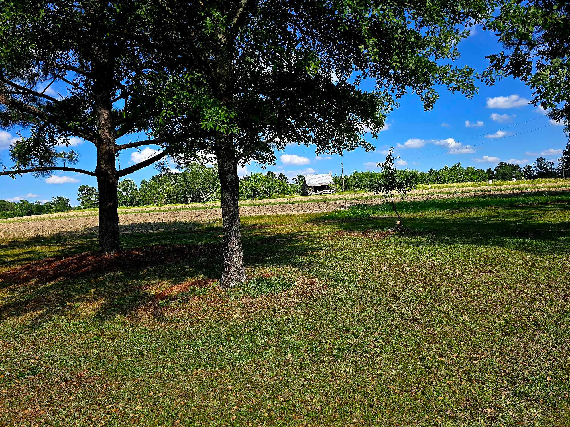 Pilson Acres Farm Stay