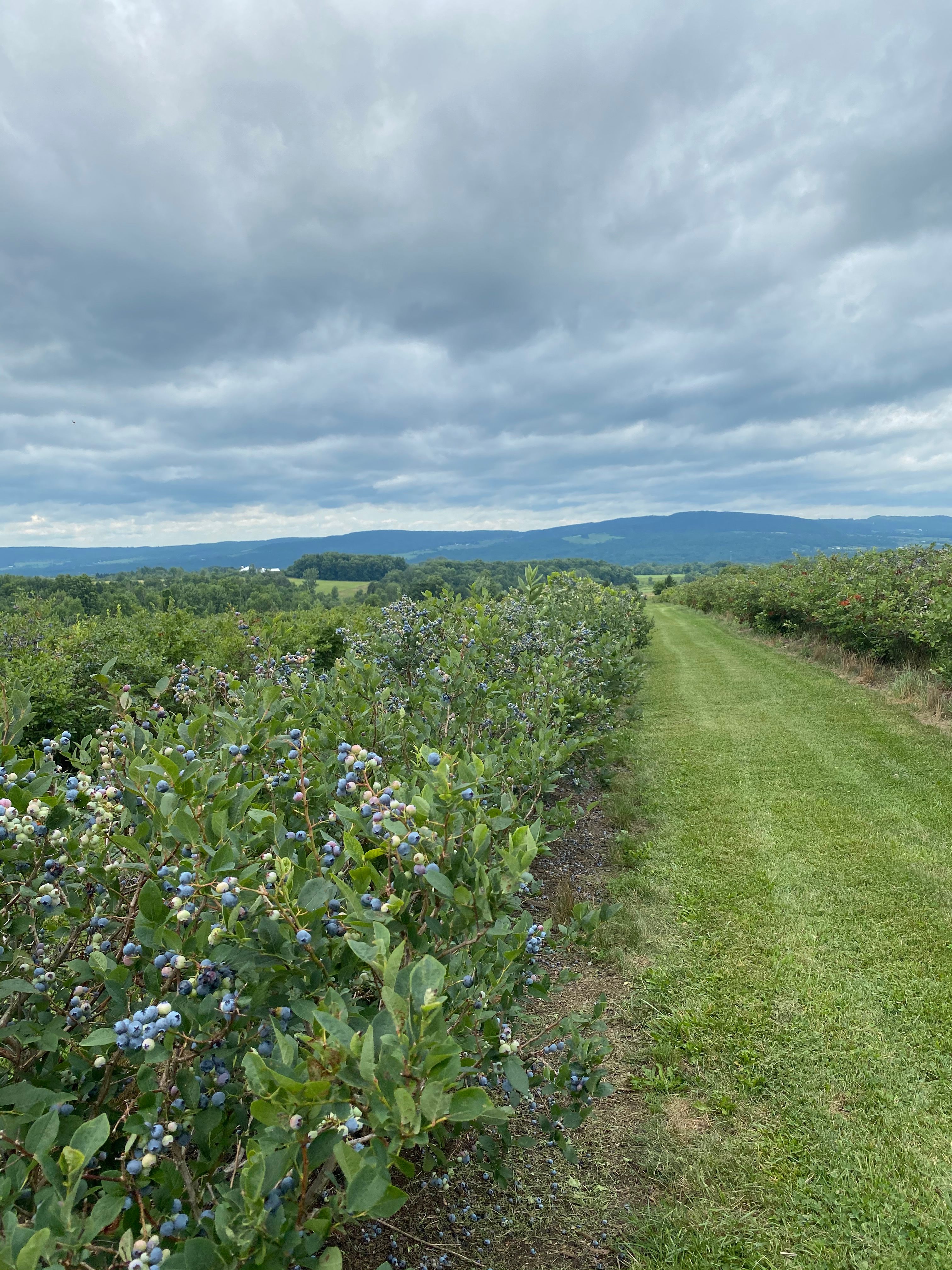 Hoof N Paws Farm