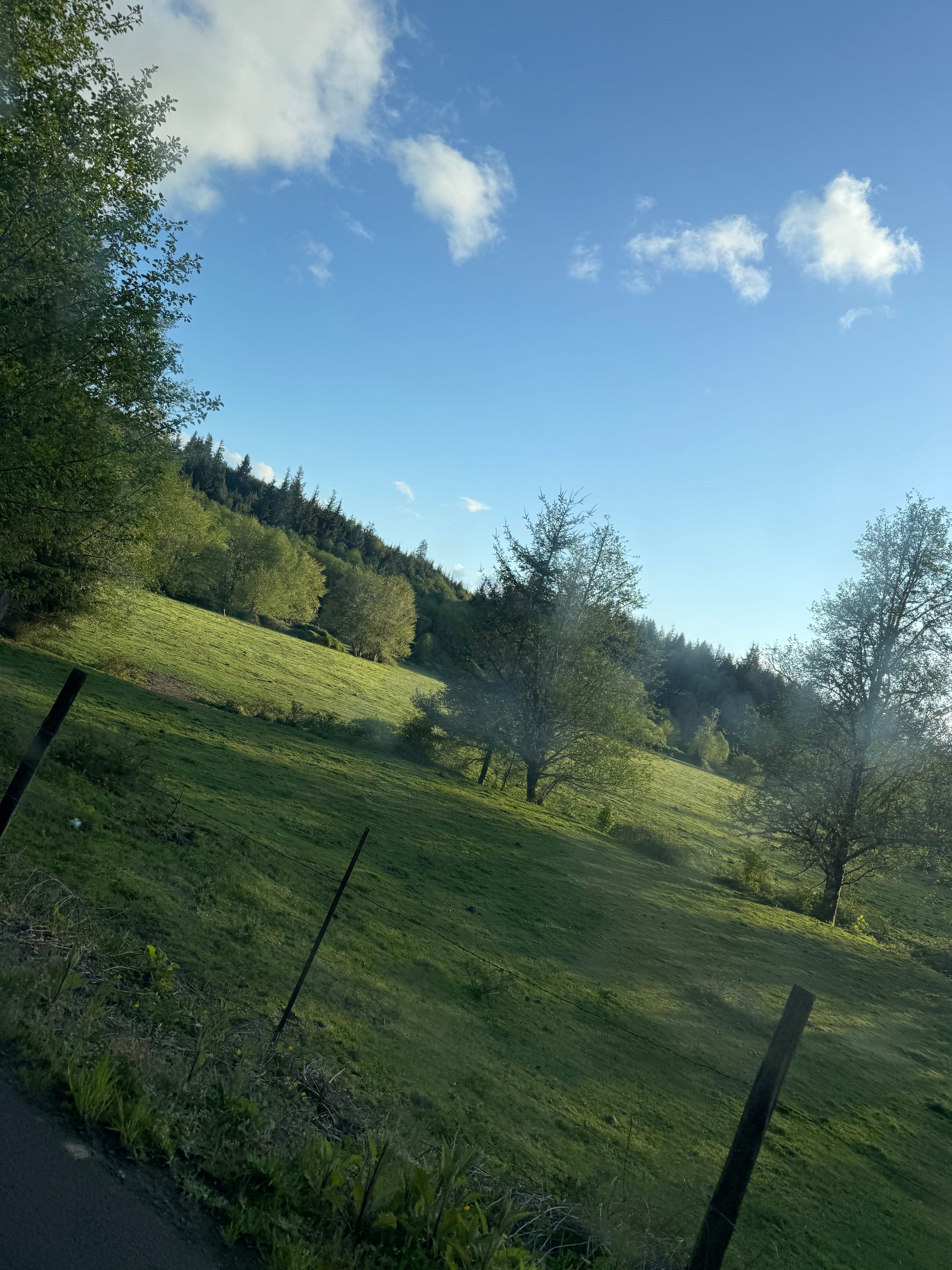 West Coast Mountain Trails