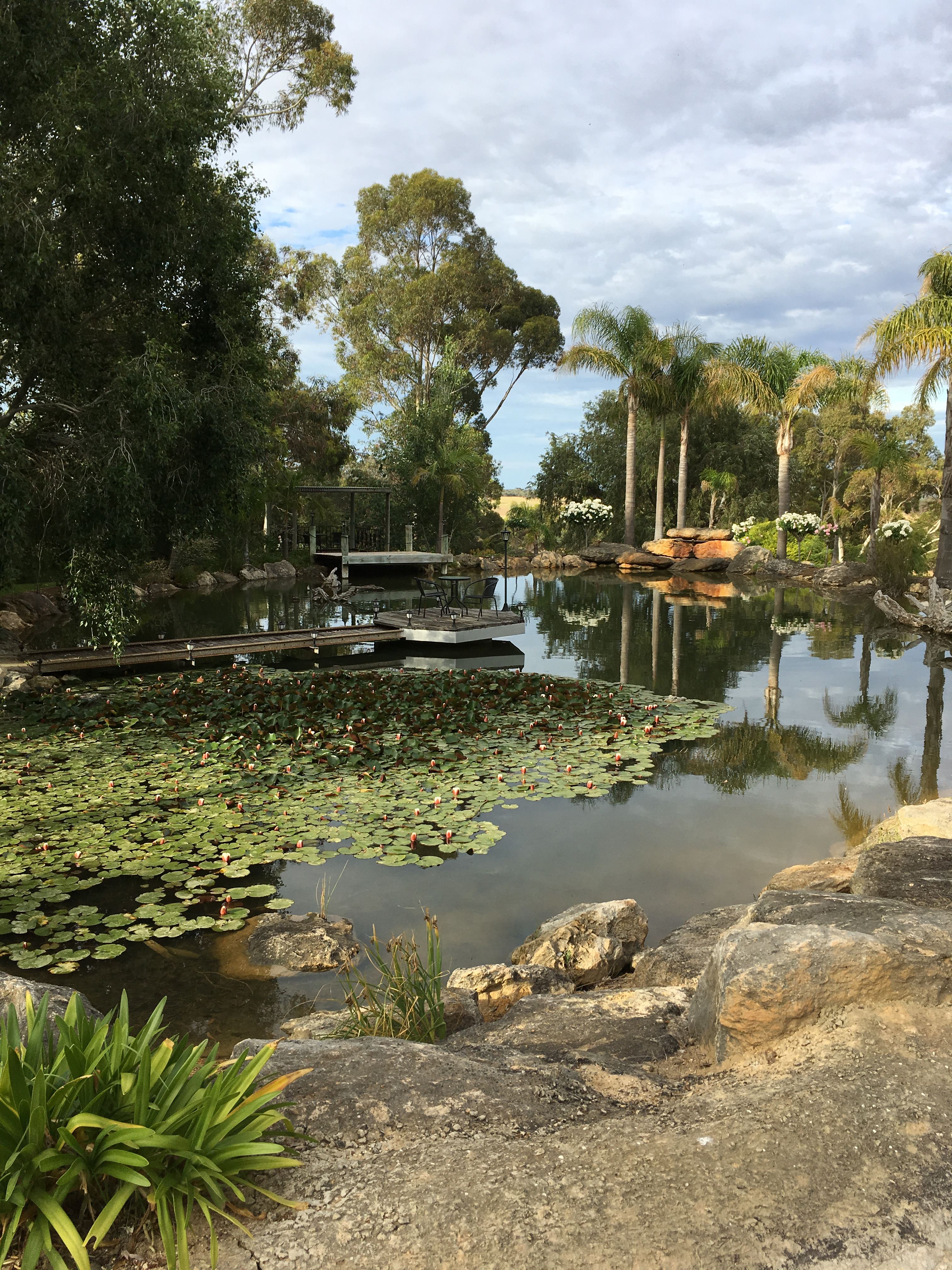 Valley View Garden