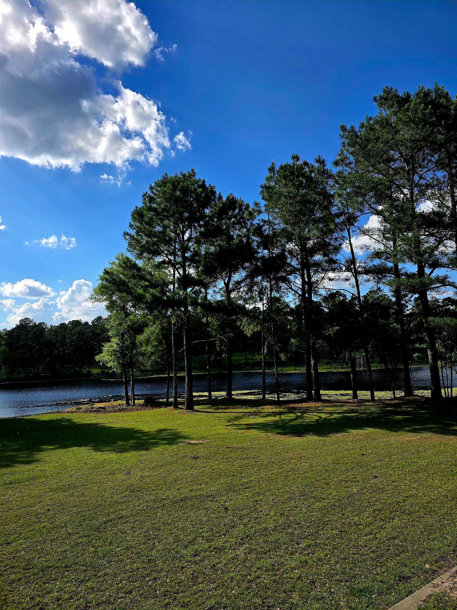 Pilson Acres Farm Stay