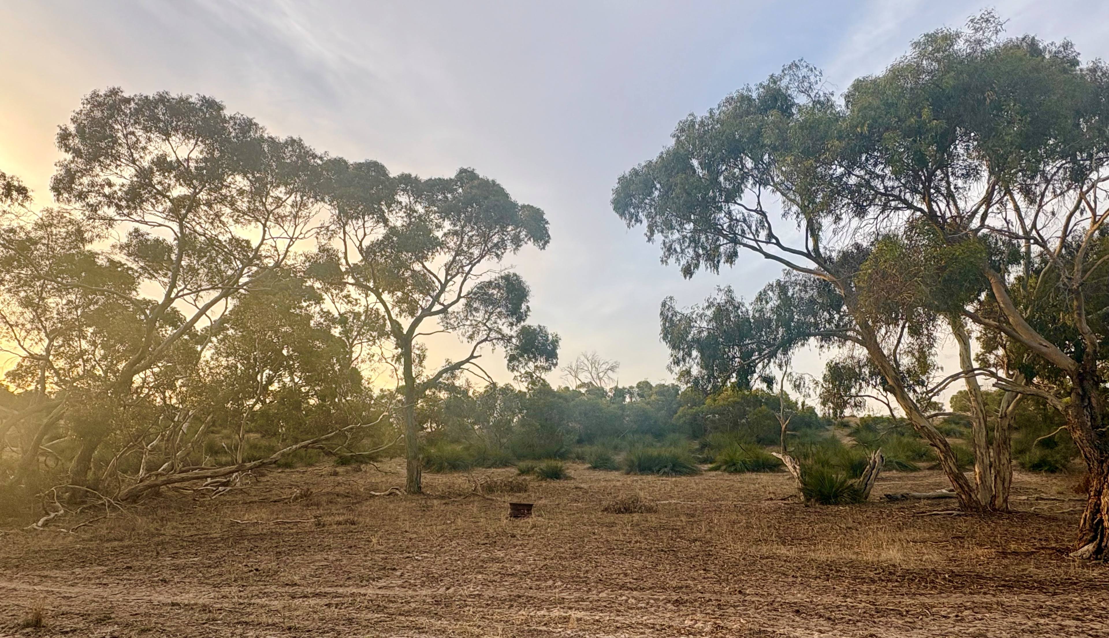 Stonehaven - Yakka Paddock