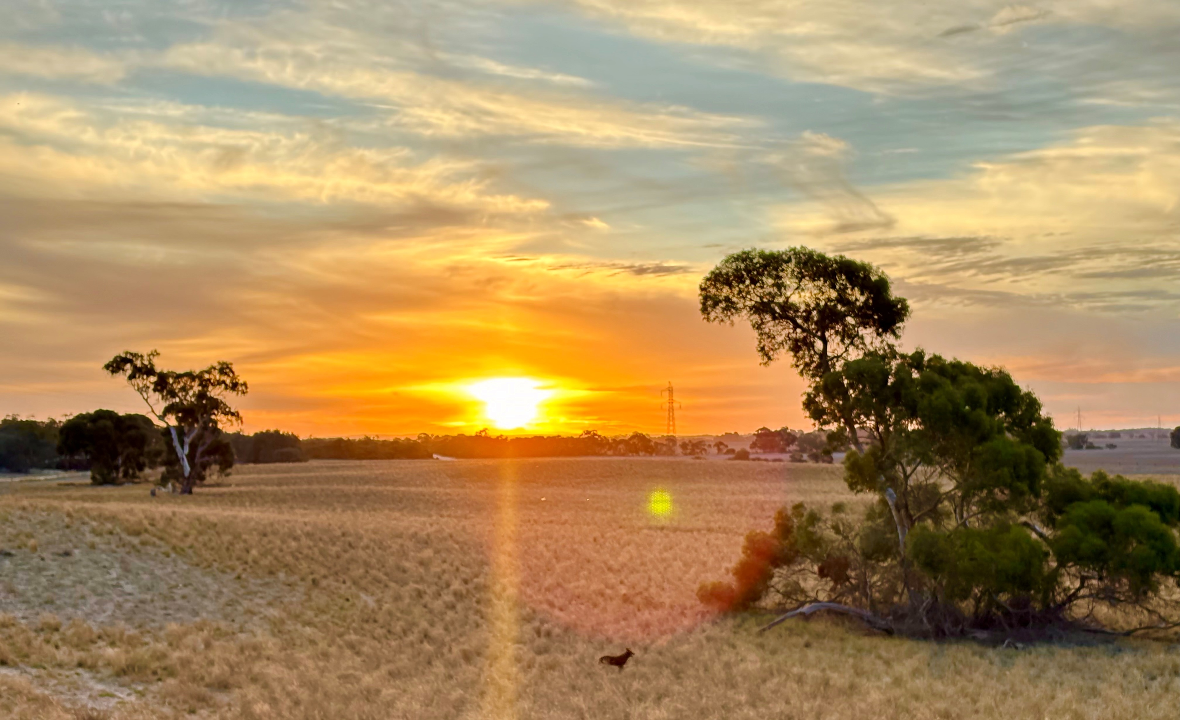 Stonehaven - Yakka Paddock