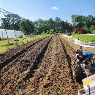 Happy Hens Farm Monroe