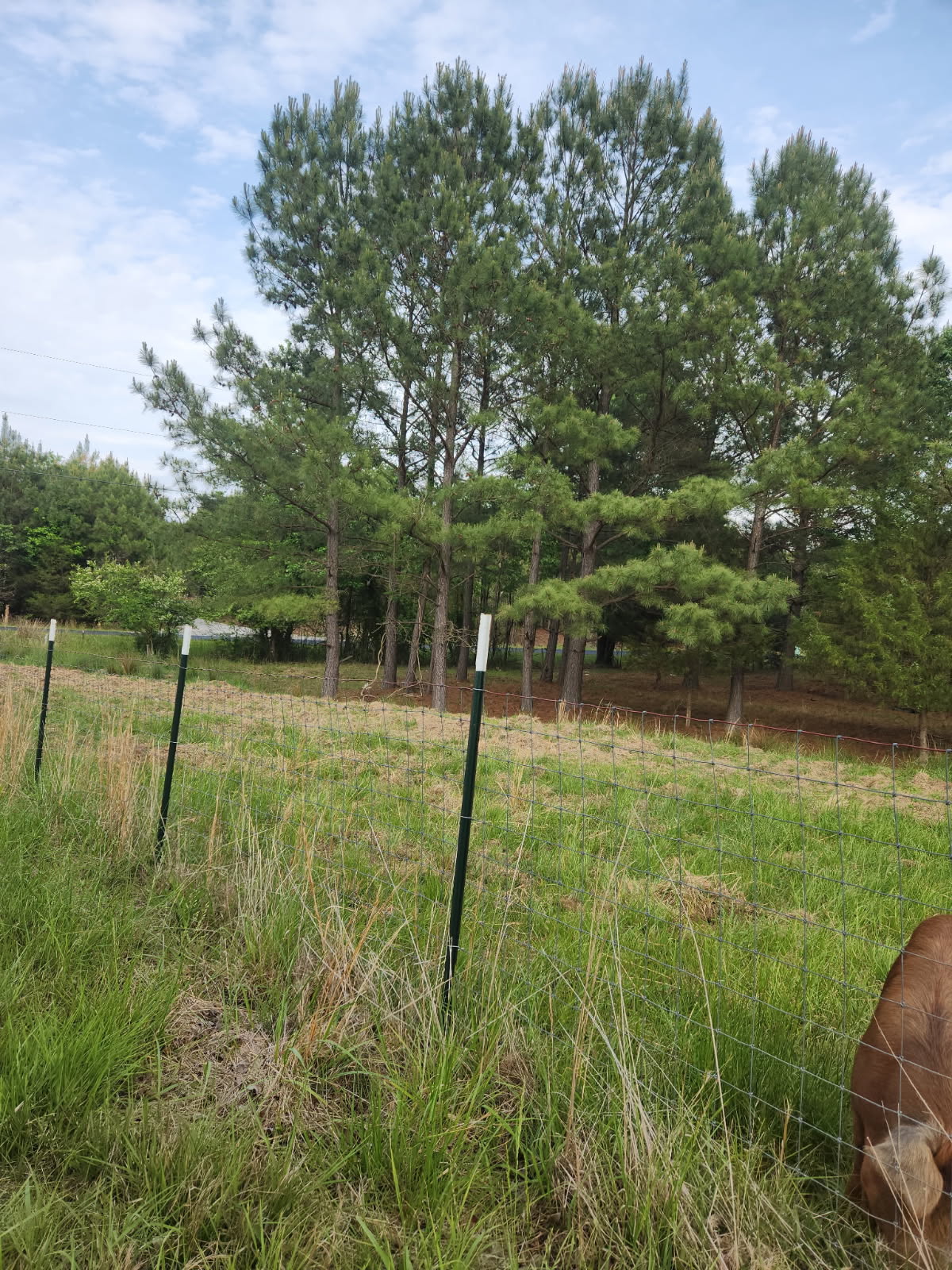 Happy Hens Farm Monroe
