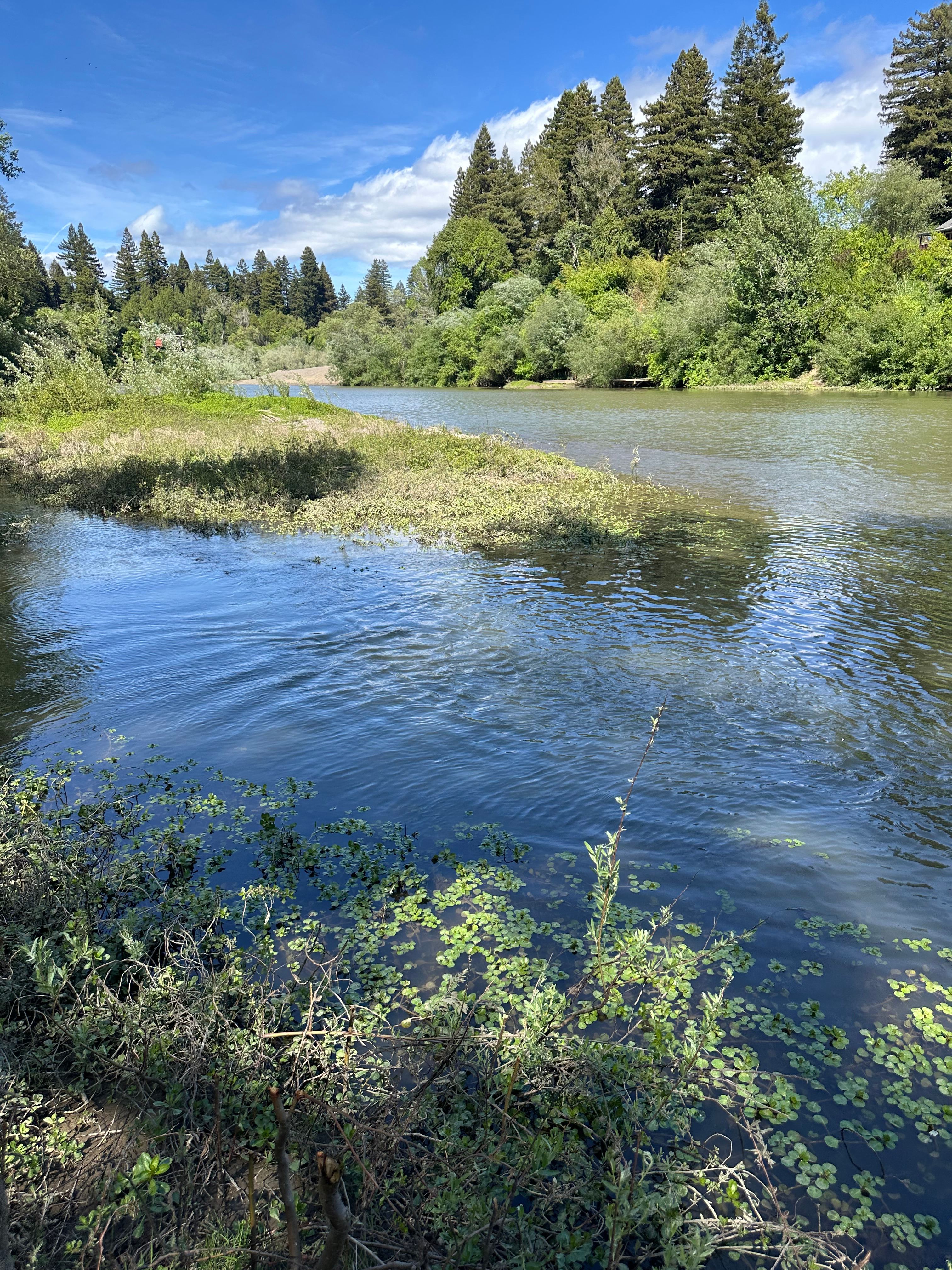 Honey Island Russian River Soc Club