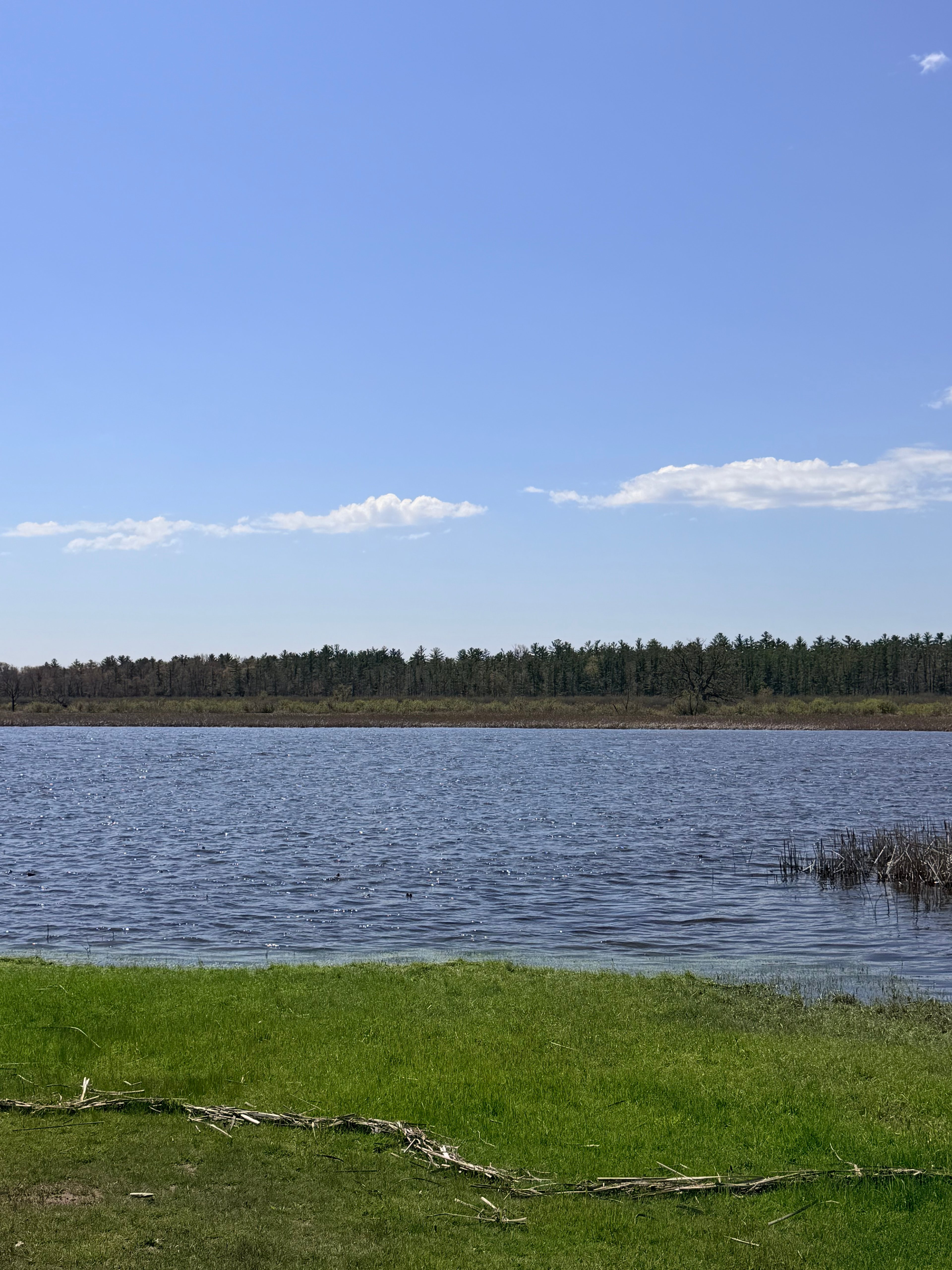 Blue Loon River House